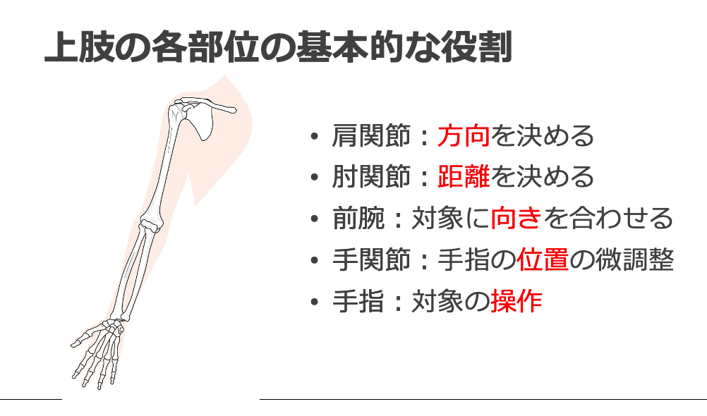 肘関節の評価③｜加藤淳