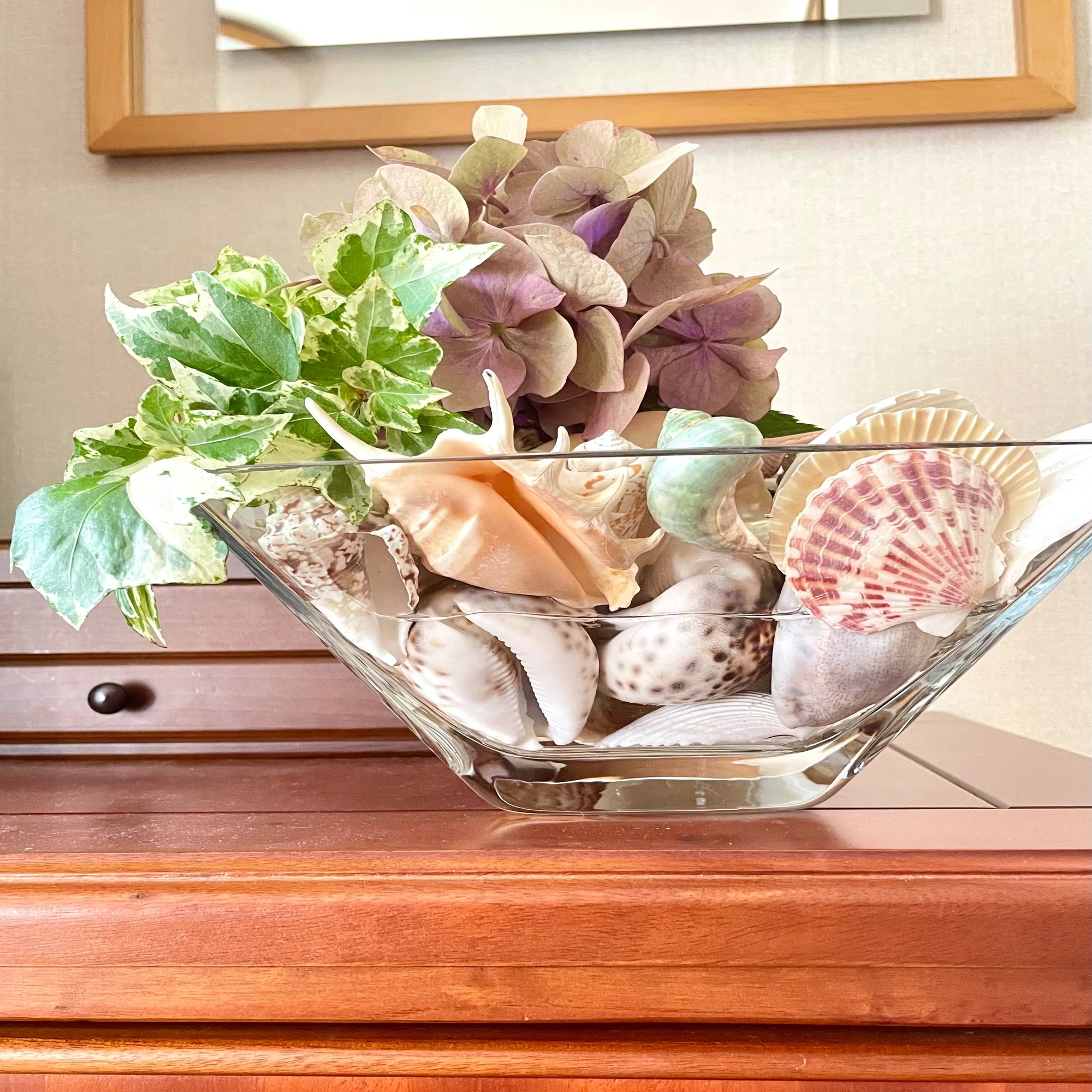 暑い毎日だから、貝殻も飾る｜暮らしの花研究家
