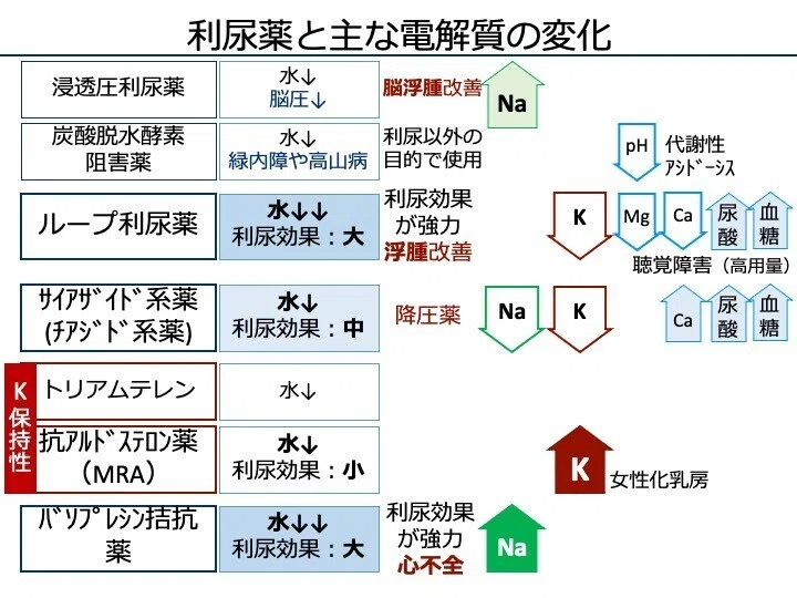 8-5 利尿薬|こはく堂薬局