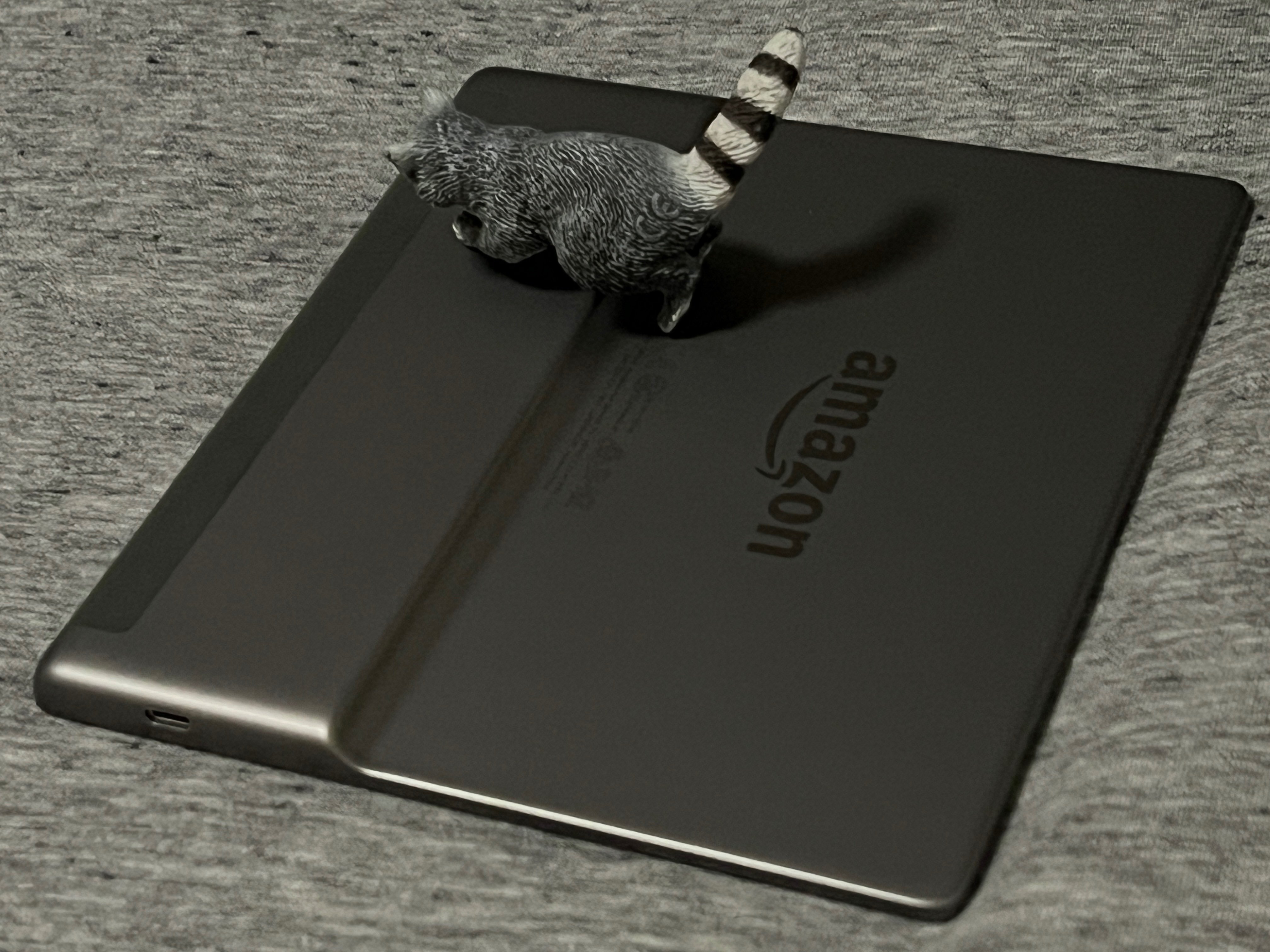 Kindle Oasis wifi+4G レビュー(その2)長く使うことになると Kindle Oasis wifi+4G レビュー(その2)長く使うことになると