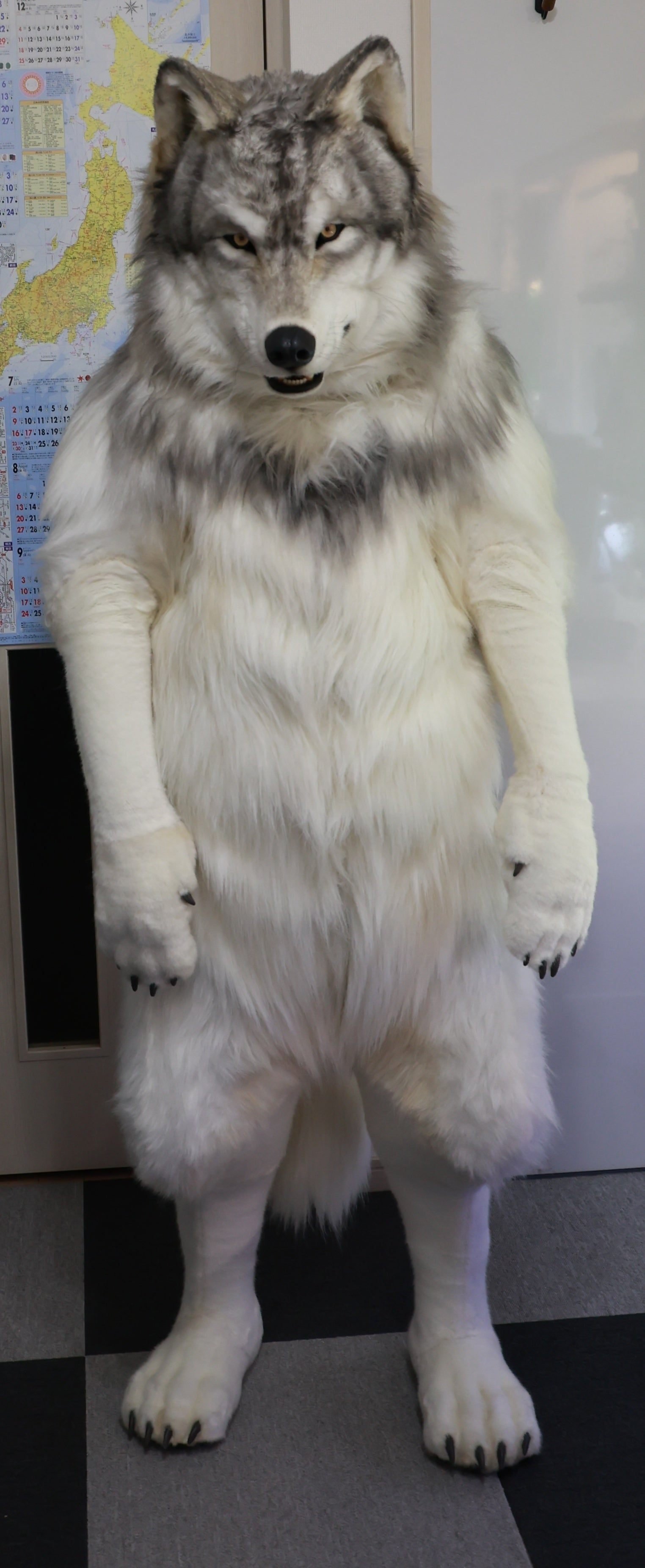 着ぐるみの製作を依頼した経緯から完成まで｜Timber Wolf