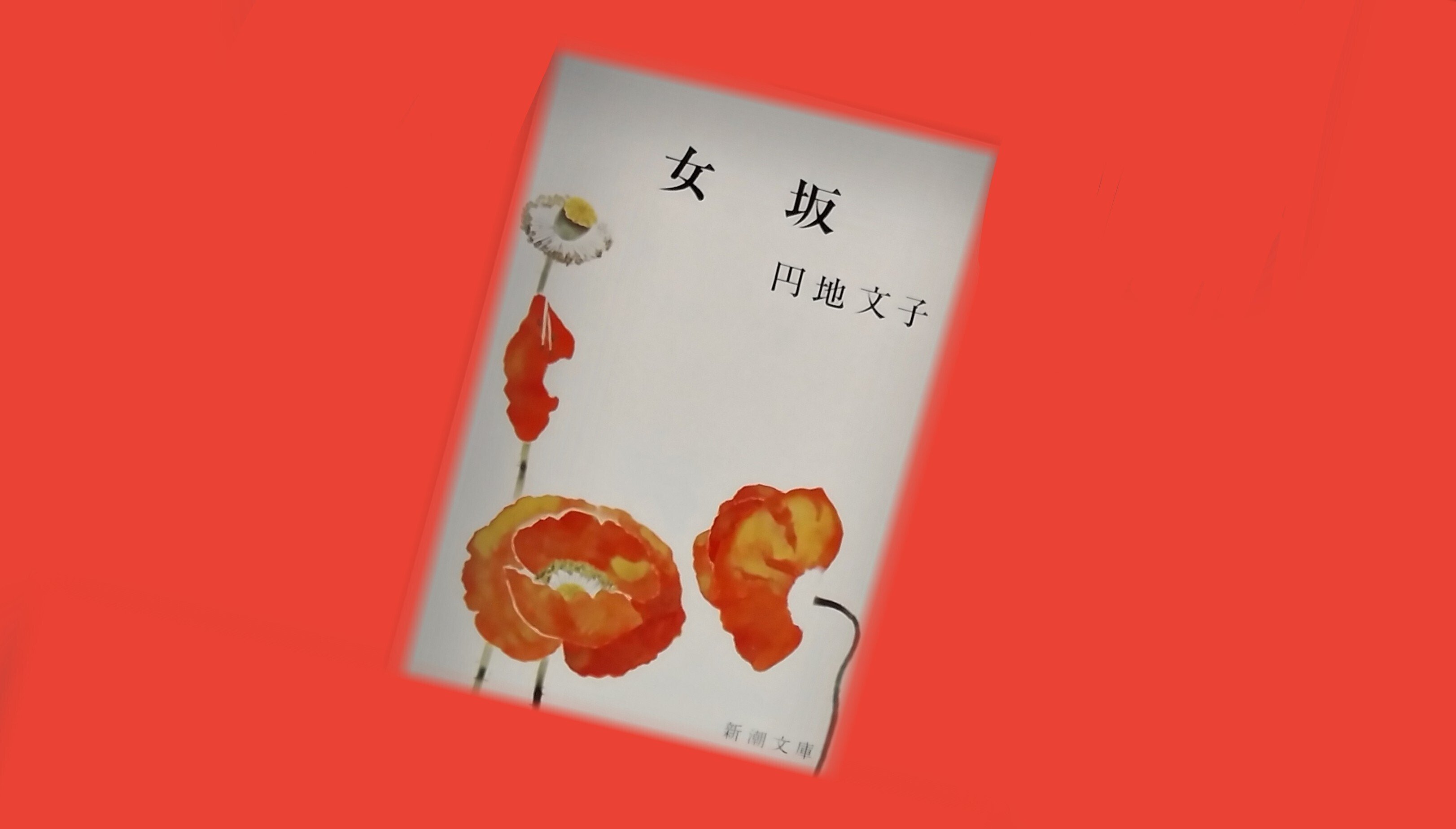 日本文学を英語で読む②|円地文子「女坂」｜山根あきら | 哲学者