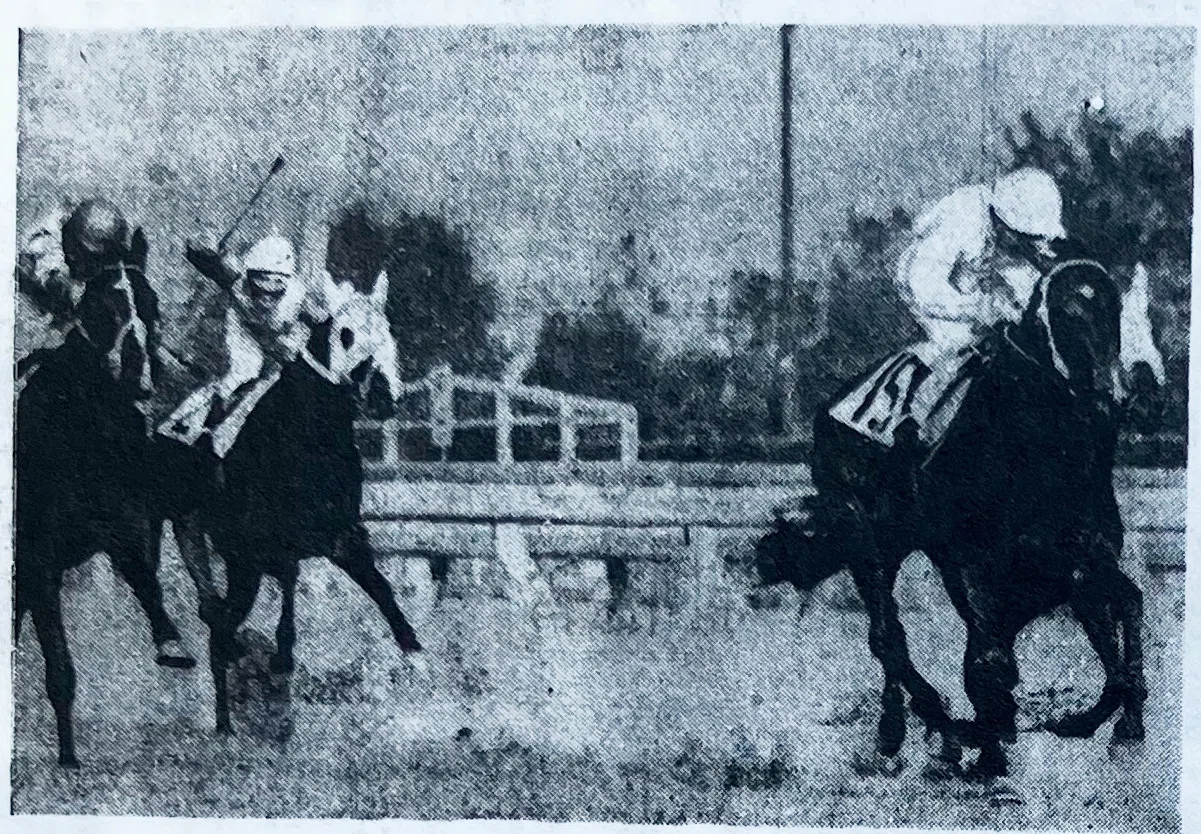 ウマ娘」に実装されたカツラギエース！三冠馬との死闘と〝日本馬初〟を