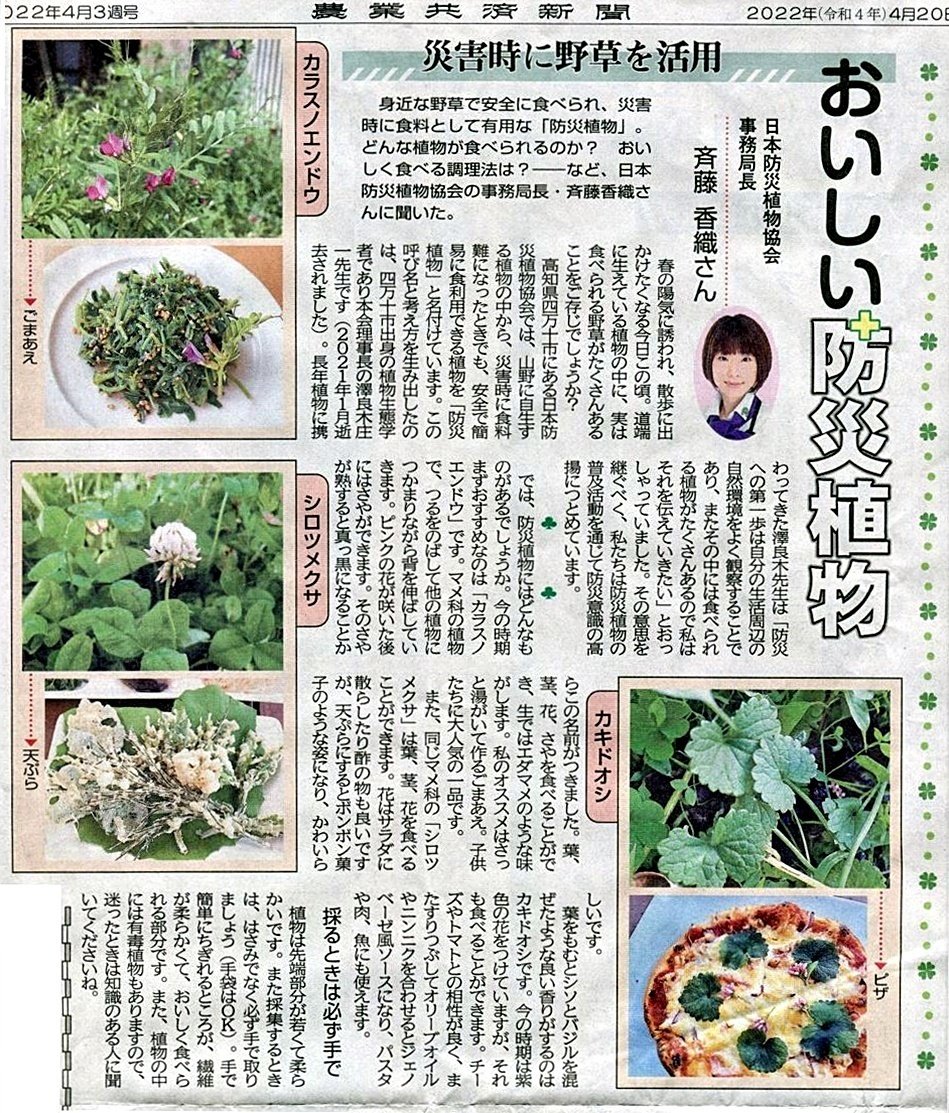 日本防災植物協会／斉藤香織さん｜プライムトーク