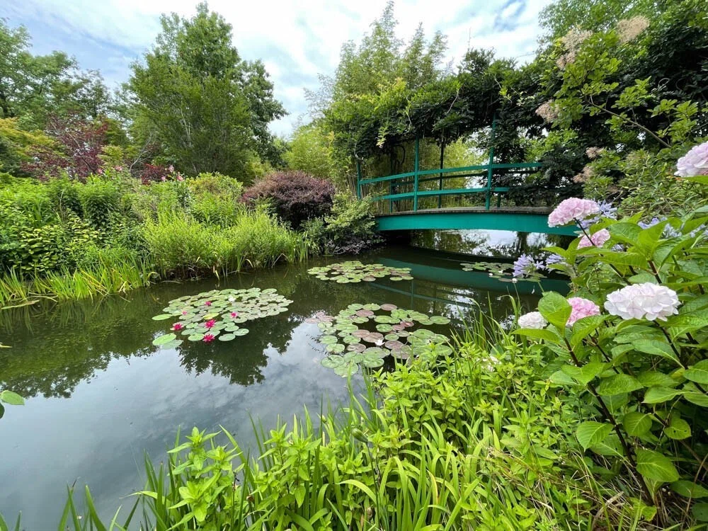 世界でたった2つのモネの庭、涼しい夏を演出する睡蓮たち（北川村