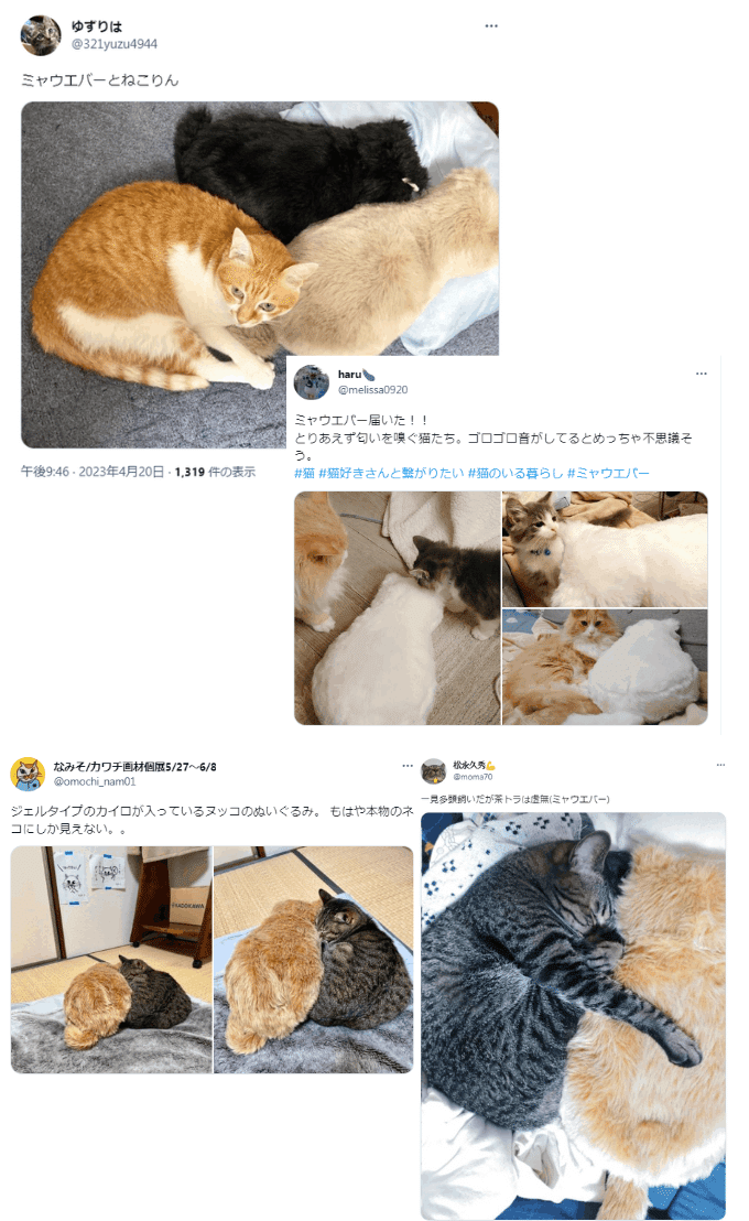 MeowEver 2 ＆ MeowEver Little 本物の猫と暮らすような体験が