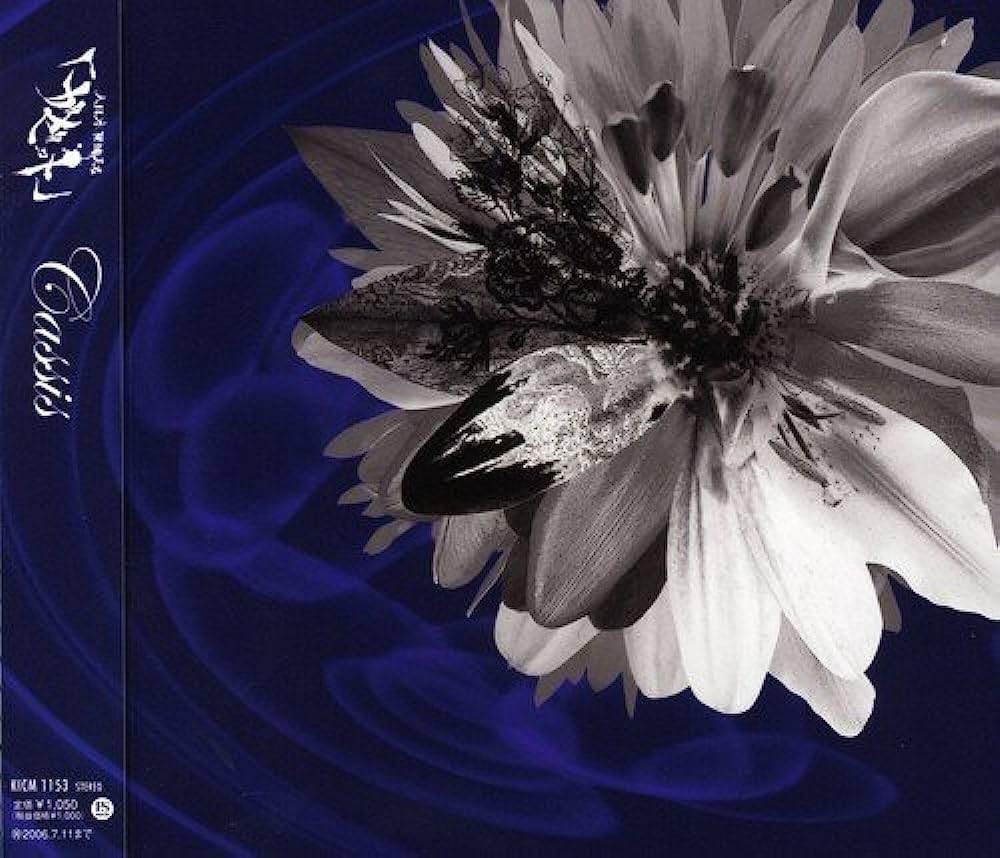 Cassis / the GazettE（2006）｜oka