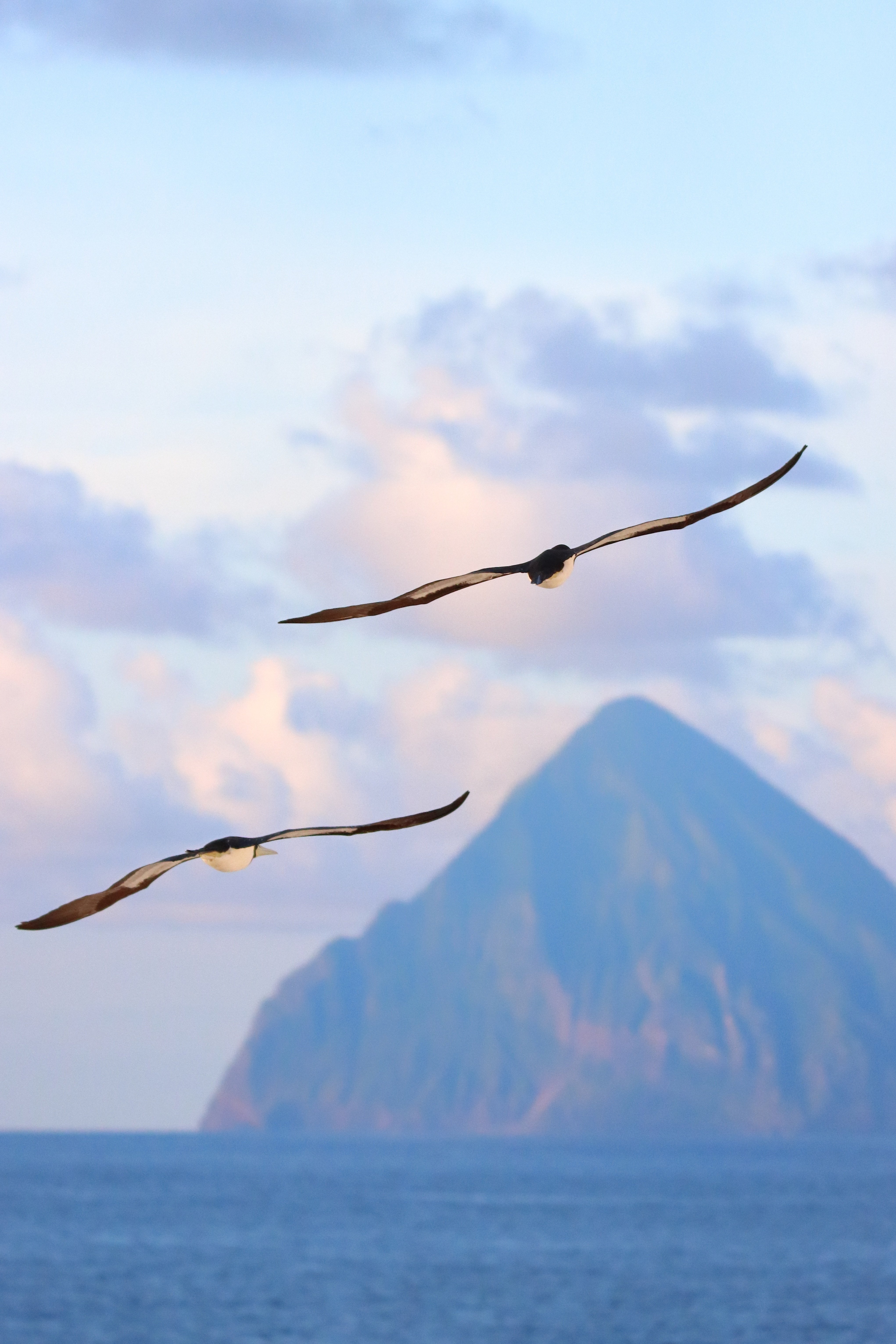 硫黄三島クルーズ＋αが最高だった話②｜ぽんたろう