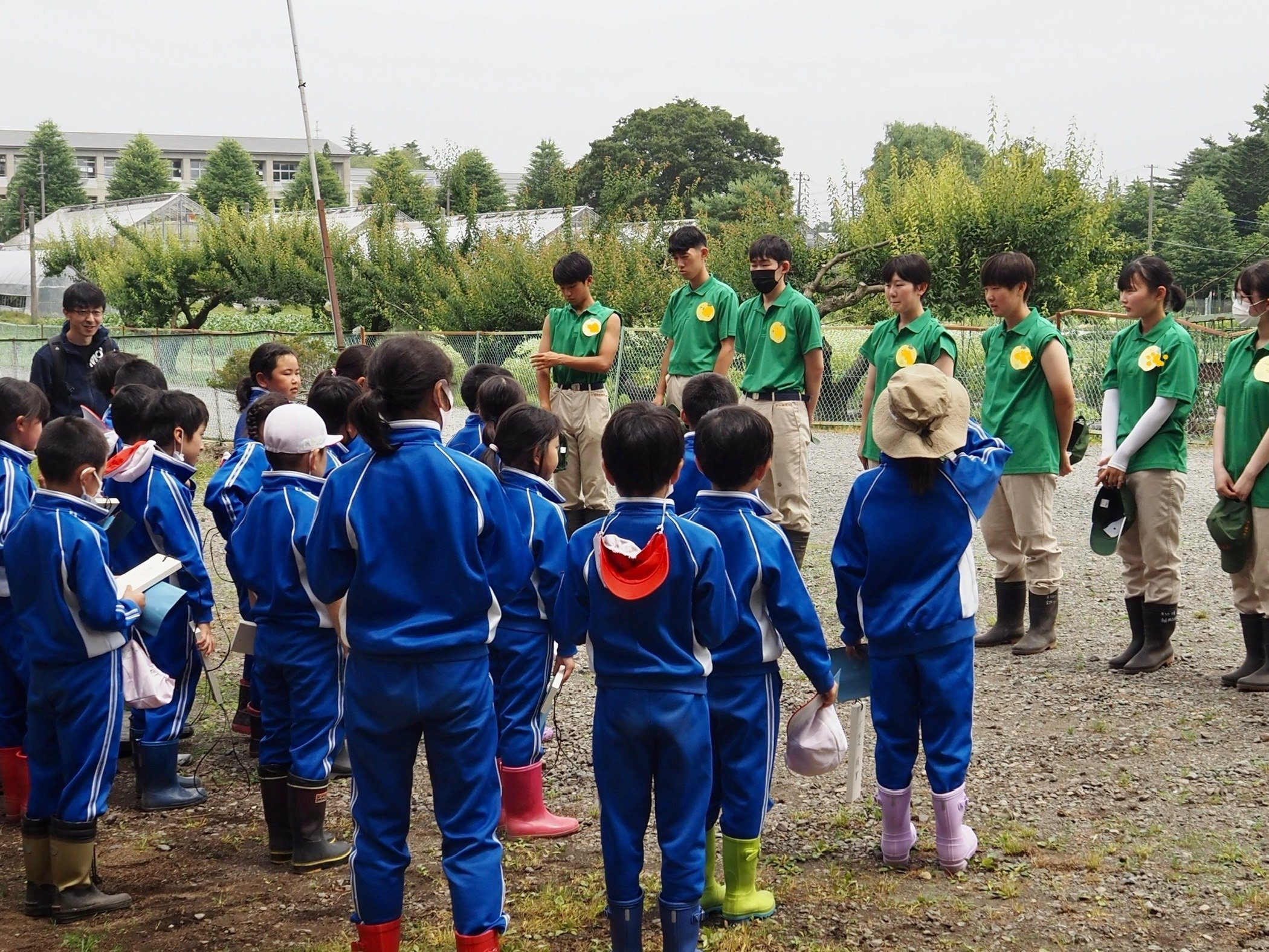 植物科学科＆人間科学科：「一本木小学校3年生とりんごの袋かけ実習