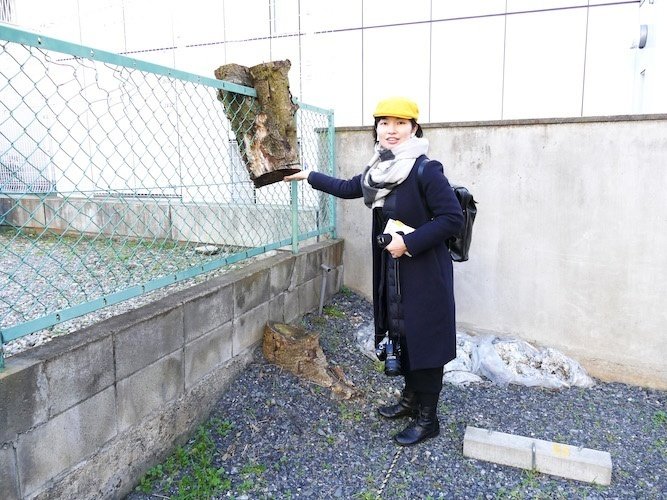 片手袋に路上園芸、顔ハメ看板……まちには「面白がれる」ものが