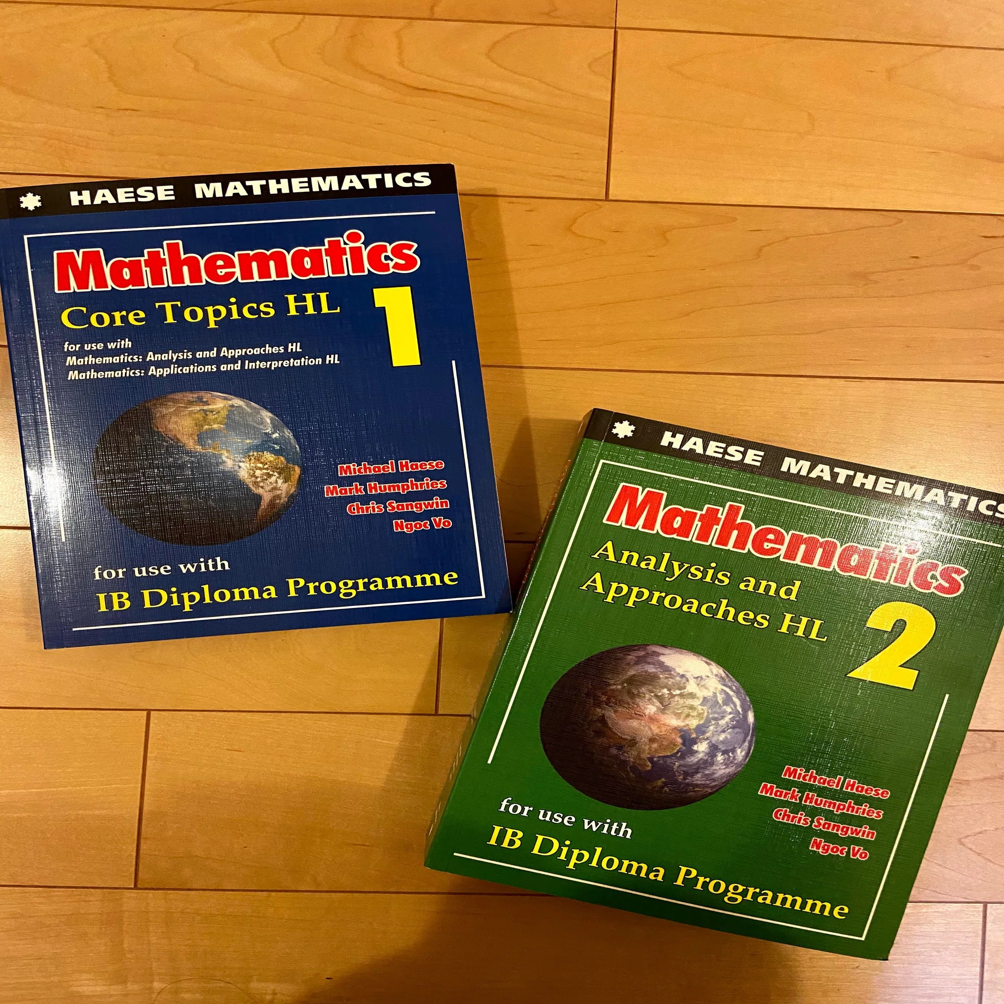 成績3→?に上がったMath: AA HL/／｜国際バカロレア取得＆デンマーク 