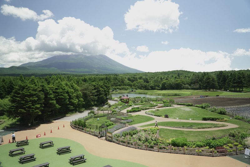 イングリッシュガーデンと富士山の写真