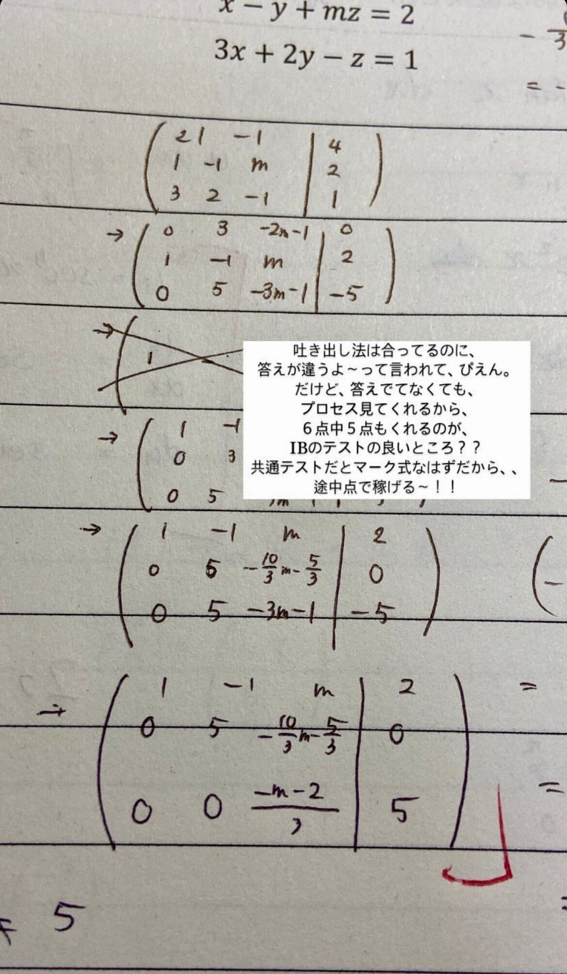 成績3→🙈に上がったMath: AA HL/／｜IBDP取得&デンマーク留学