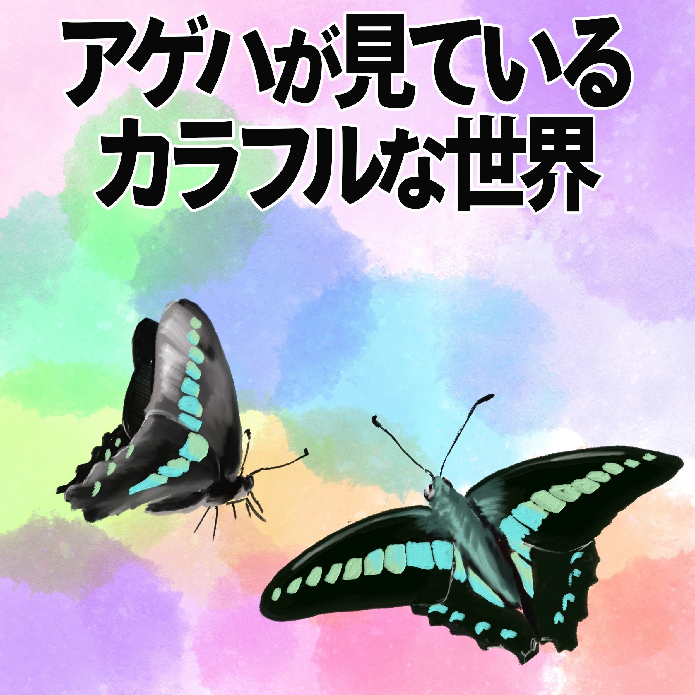 アゲハが見ているカラフルな世界｜くますけ｜自然ガイド・クリエイター