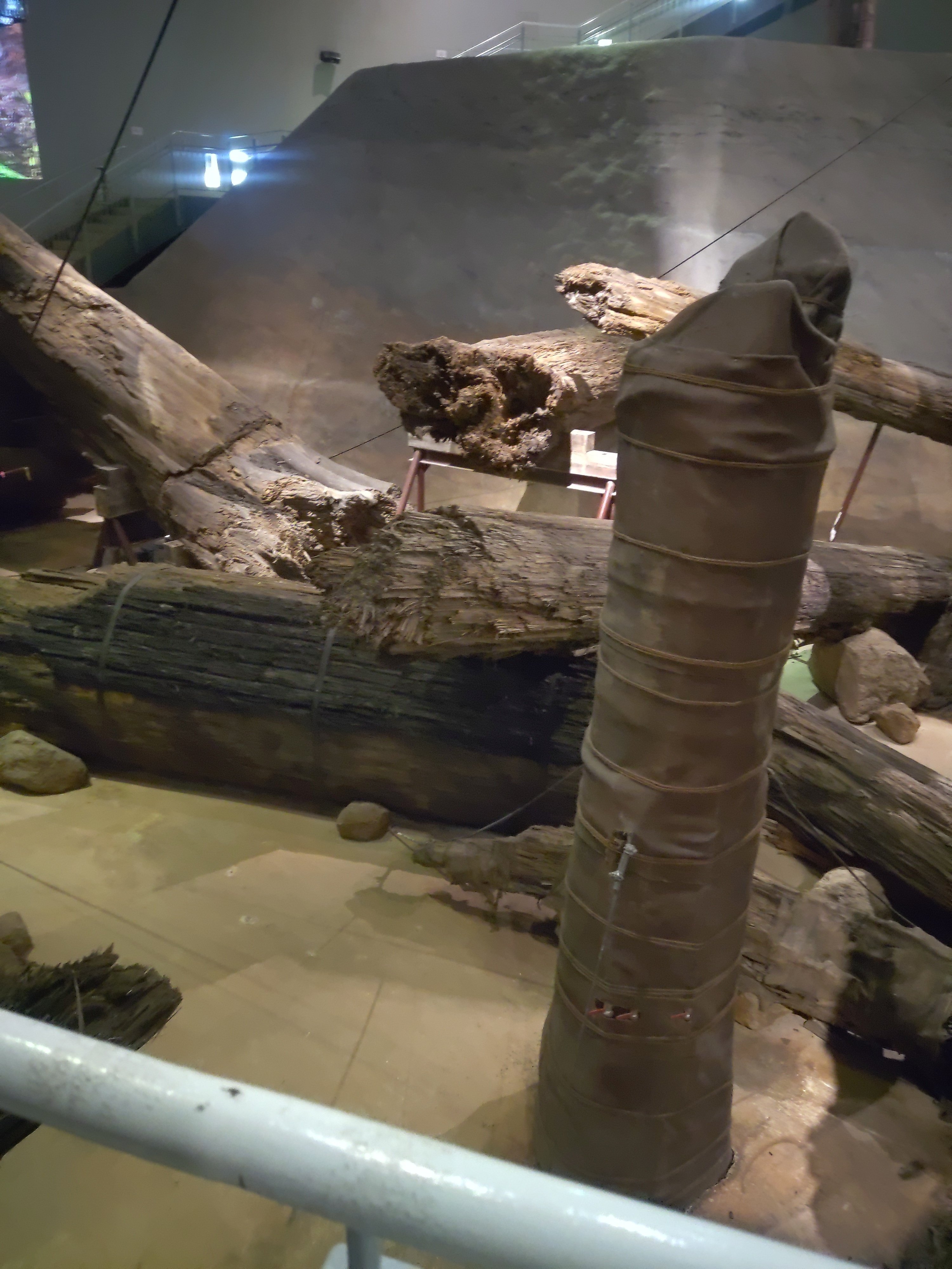 島根県太田市🏞️ 三瓶小豆原埋没林公園 (2023春の情報)｜いふ！