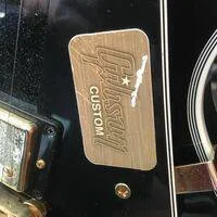 ぼっち・ざ・ろっく】ぼっちちゃんのレスポールの正体考察（ぼっち