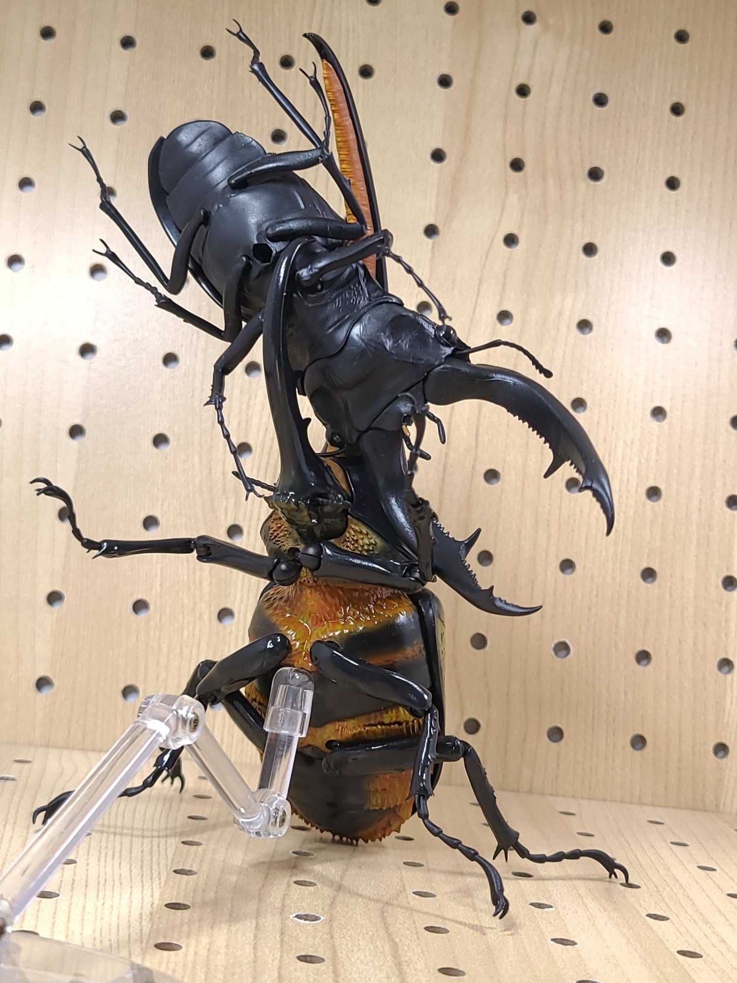 いきもの大図鑑プレミアム ヘラクレスオオカブト レビュー｜ウンウン