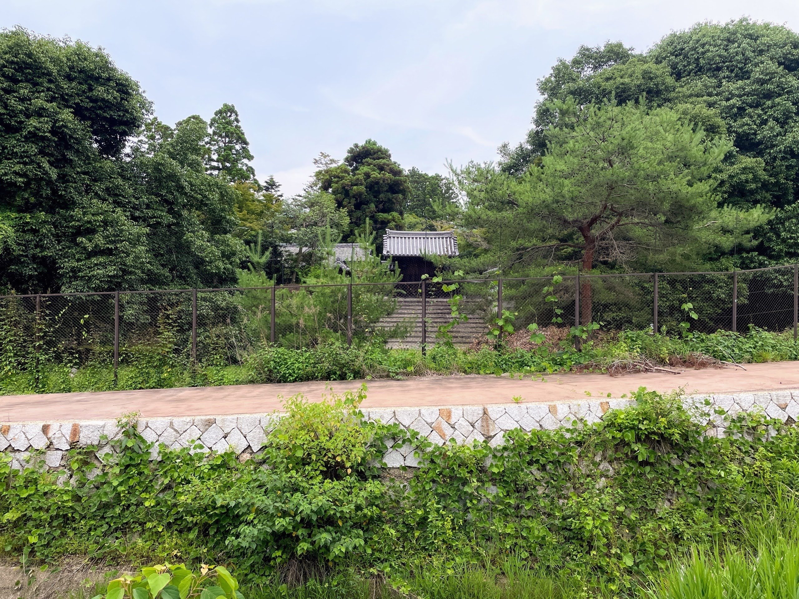 速水御舟、【洛北修学院村】、豪華・希少画集画、新品高級額・額装付、状態良好 速水御舟、【洛北修学院村】、豪華・希少画集画、新品高級額