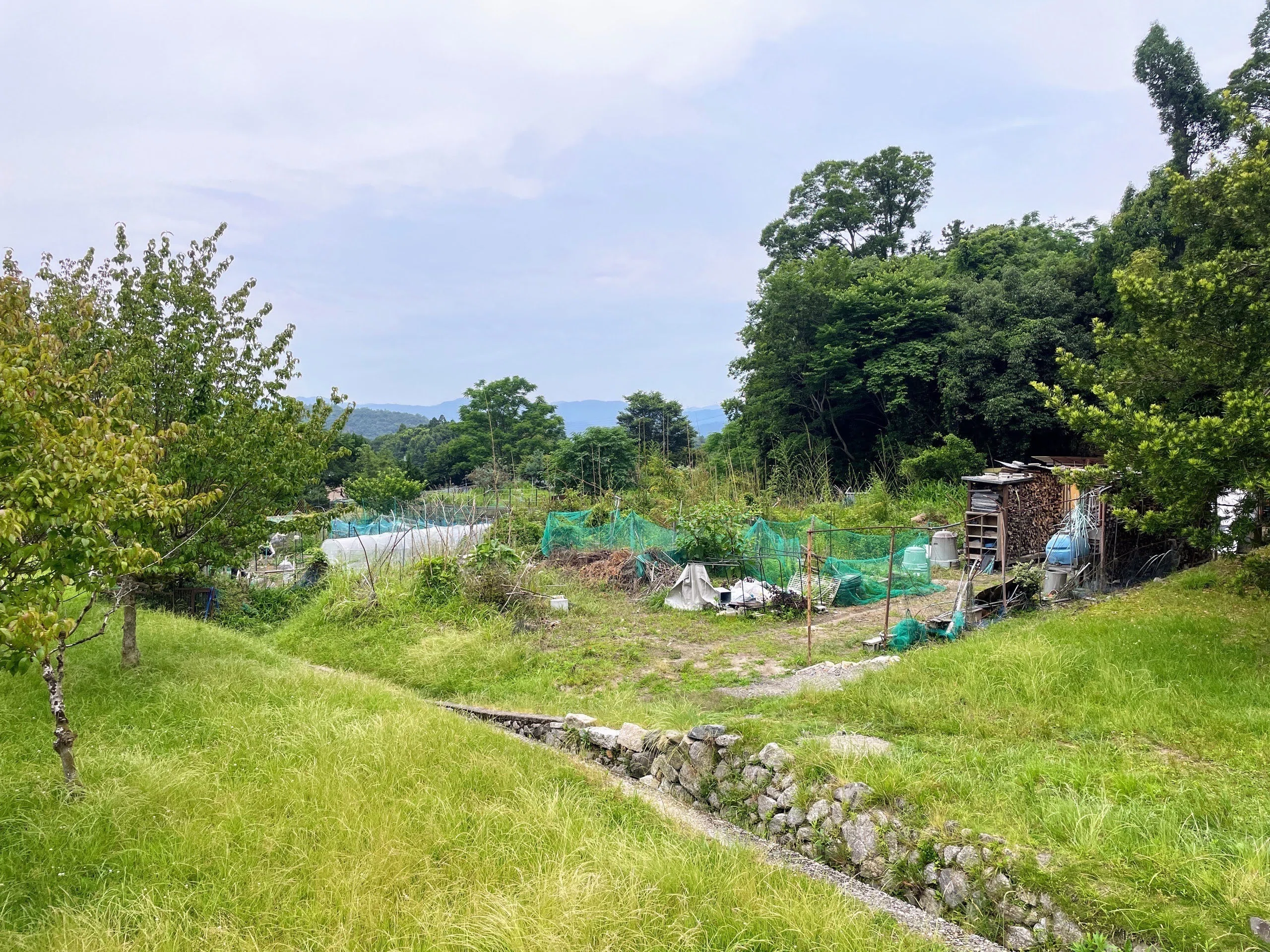 速水御舟の《洛北修学院村》を訪ねて｜美術館とお寺と猫