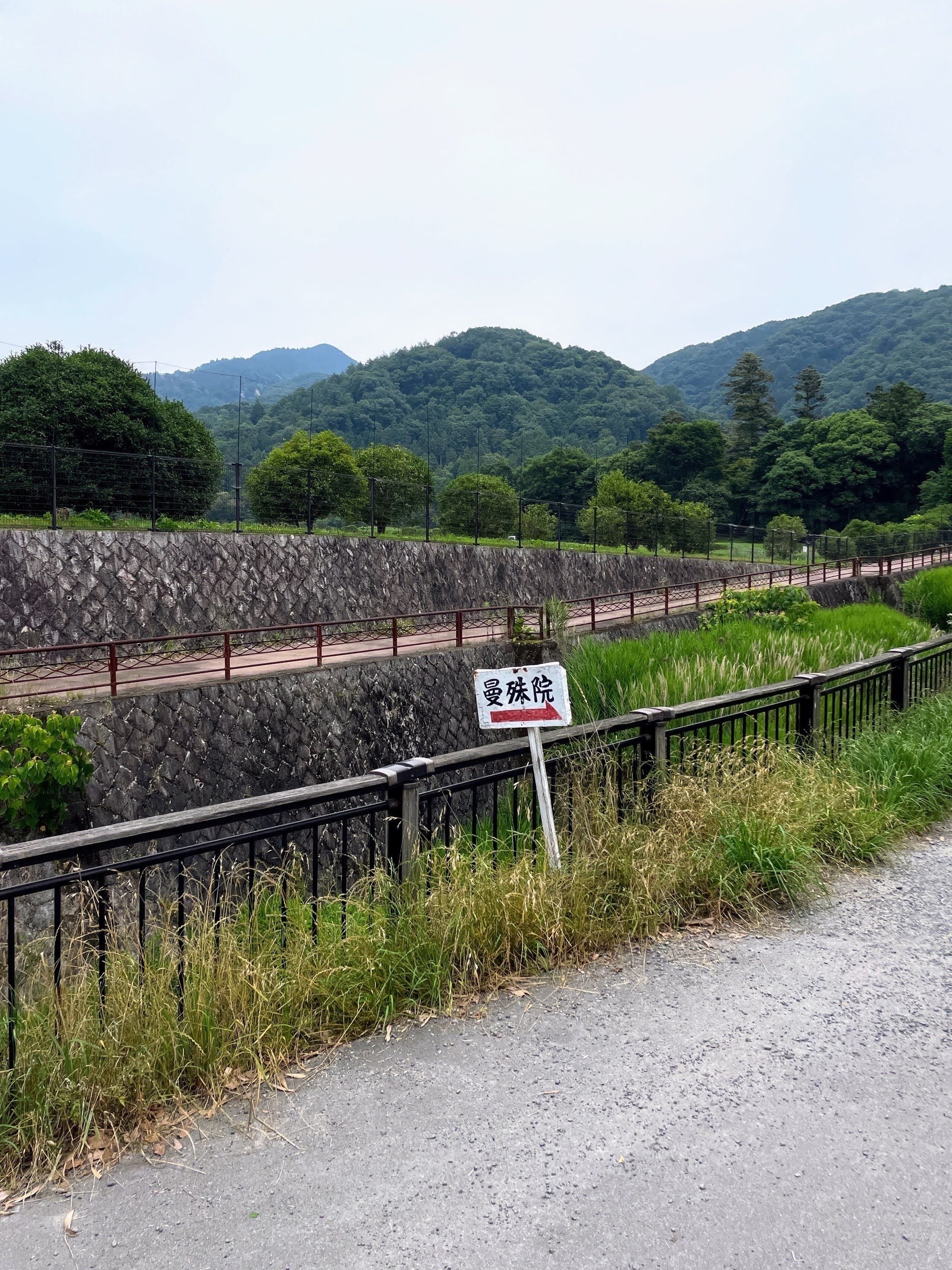 速水御舟の《洛北修学院村》を訪ねて｜美術館とお寺と猫