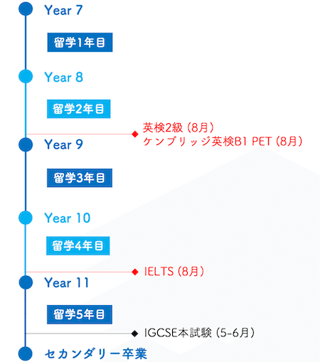 IELTS 書籍 5 + 3冊　英語力証明 海外留学 アイエルツ IELTS 書籍 5 + 3冊 英語力証明 海外留学 アイエルツアウト