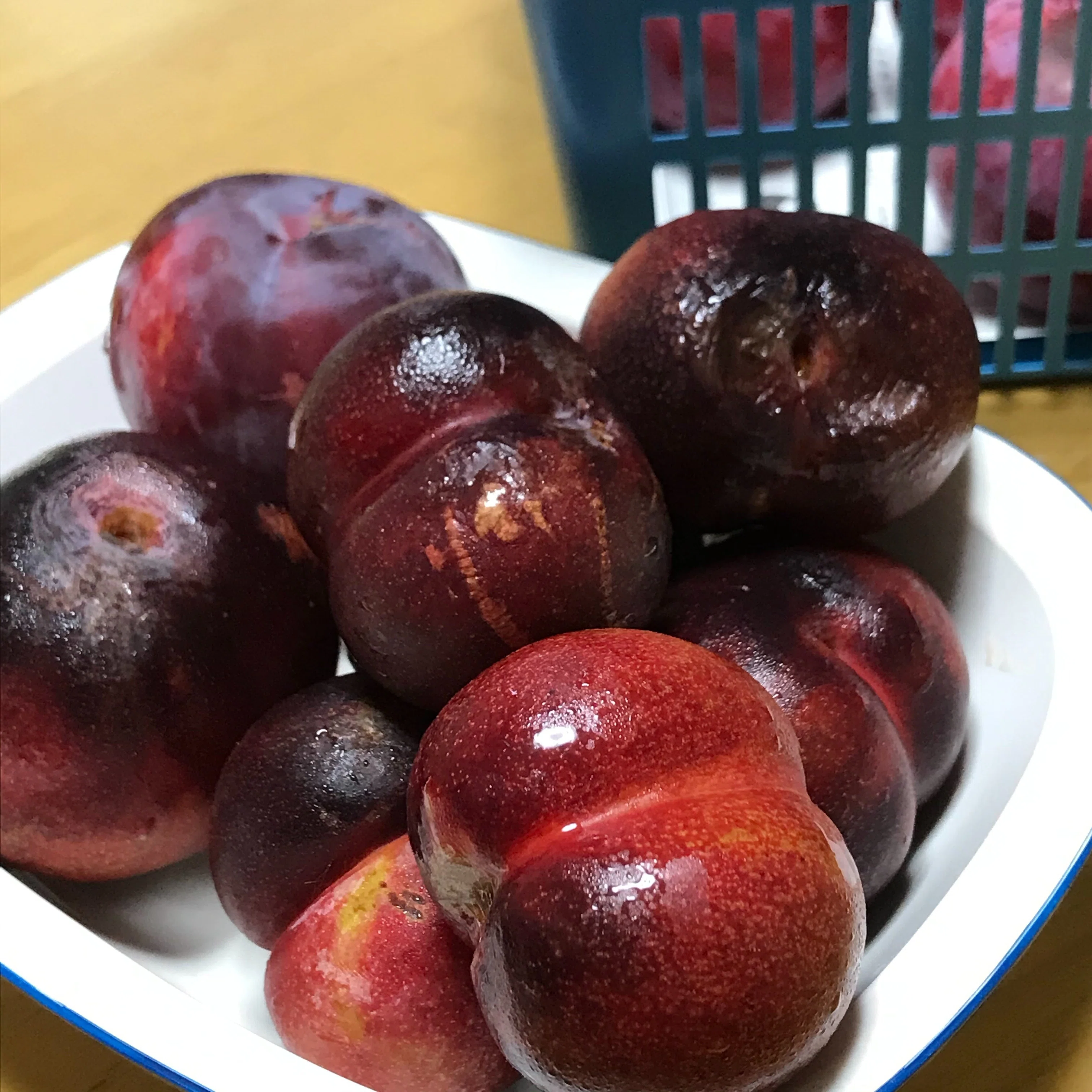 お尻みたいなスモモ♡ 〜スモモの食べ頃は難しい！？〜｜ゆめねこキッチン