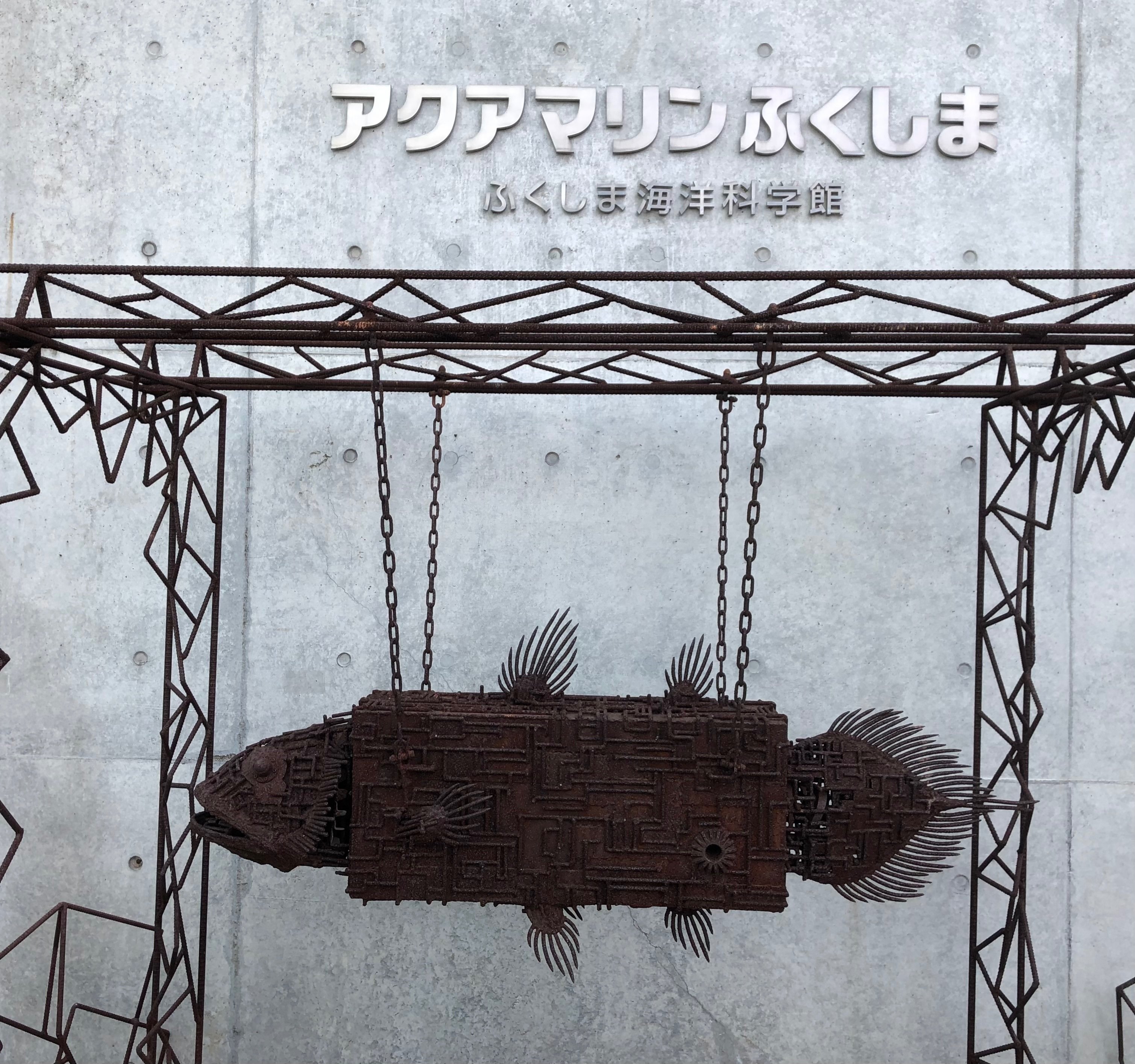 シーラカンスの真正面｜ロメ