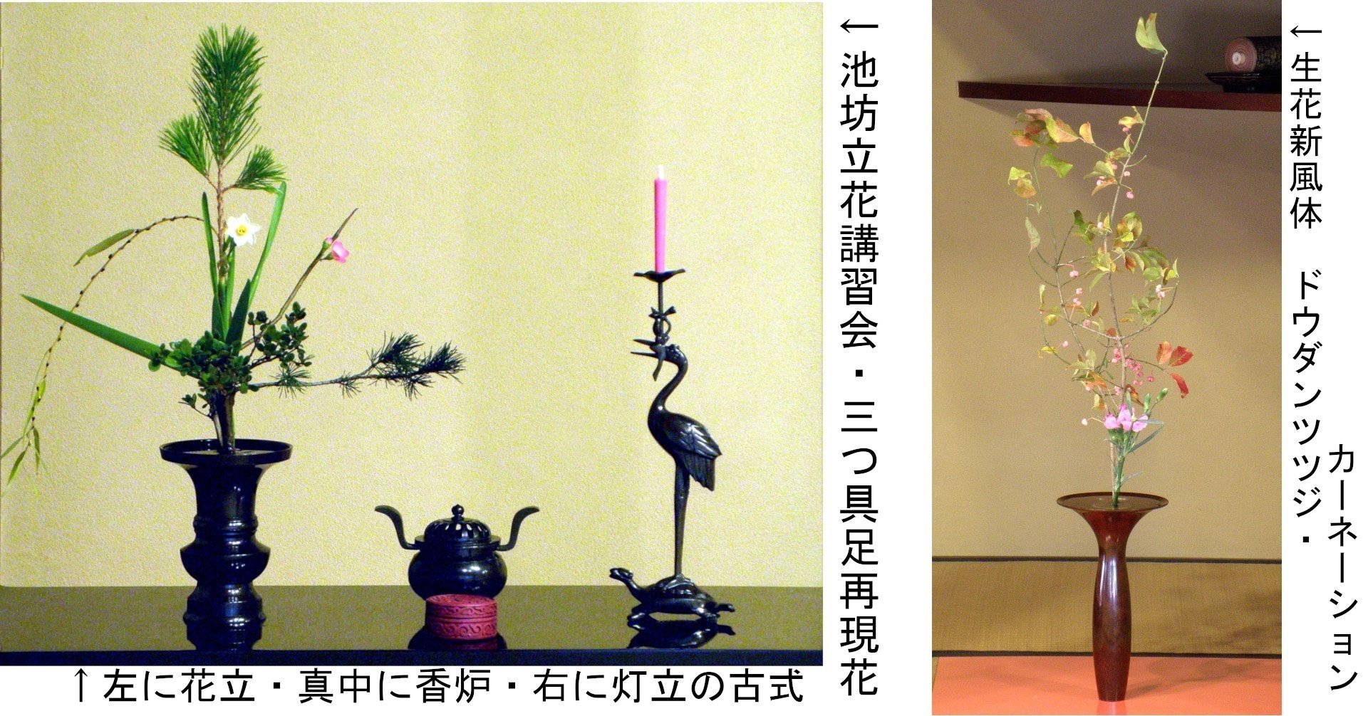 ガラス花器　華道生け花　池坊立花　立花新風体 池坊立花正風体・新風体』早川弘子｜いけばなスペース