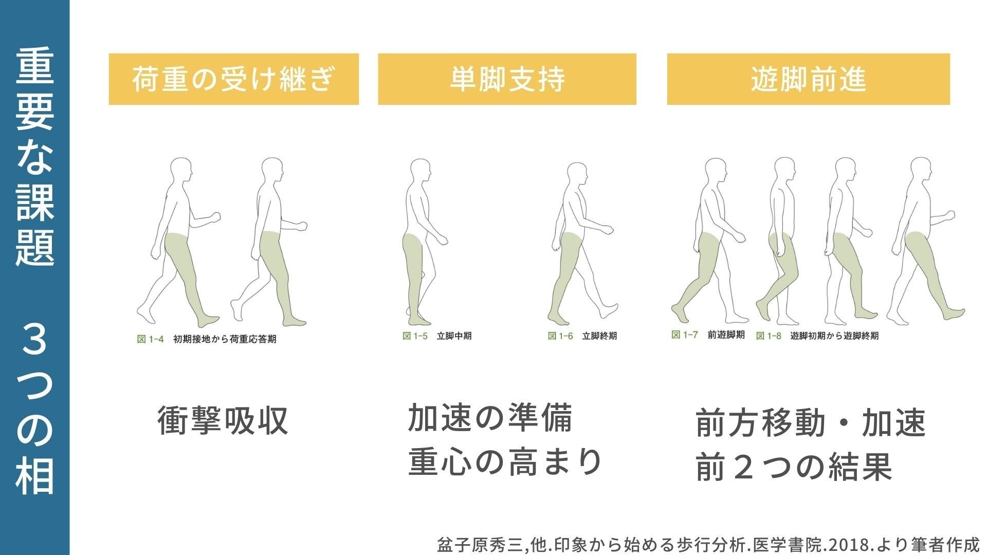 歩行分析 機能的課題と印象 前編｜理学療法メモ