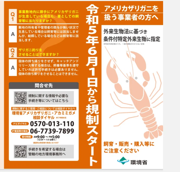 エビガニを実食し、そのルーツに迫る/Crayfish@千葉県北総地区|魚介馬鹿一代/Fish Nerd Life