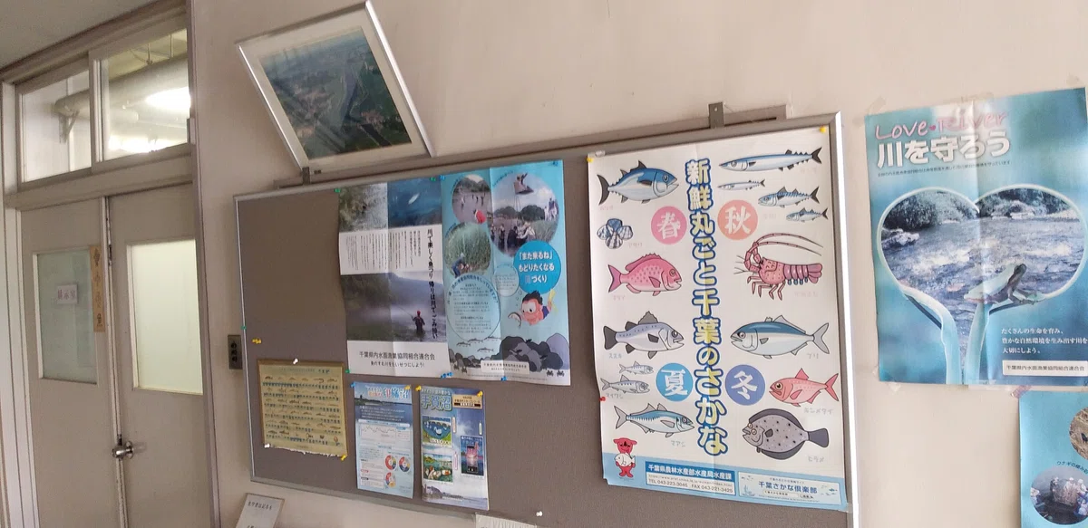 エビガニを実食し、そのルーツに迫る/Crayfish@千葉県北総地区|魚介馬鹿一代/Fish Nerd Life