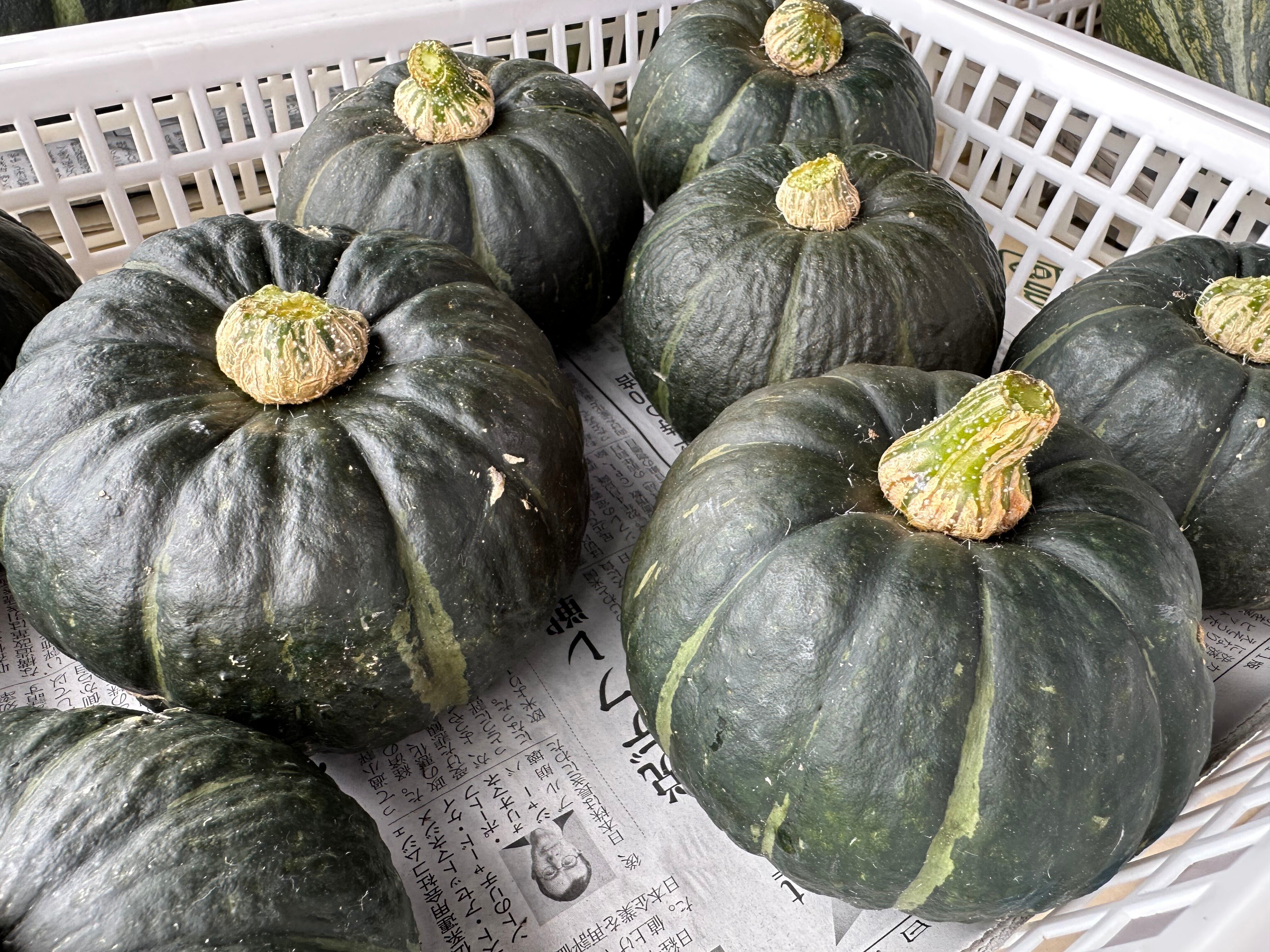 2023/7/15 お野菜み～つけた！ - かぼちゃ｜NicePapa 平野 尚志