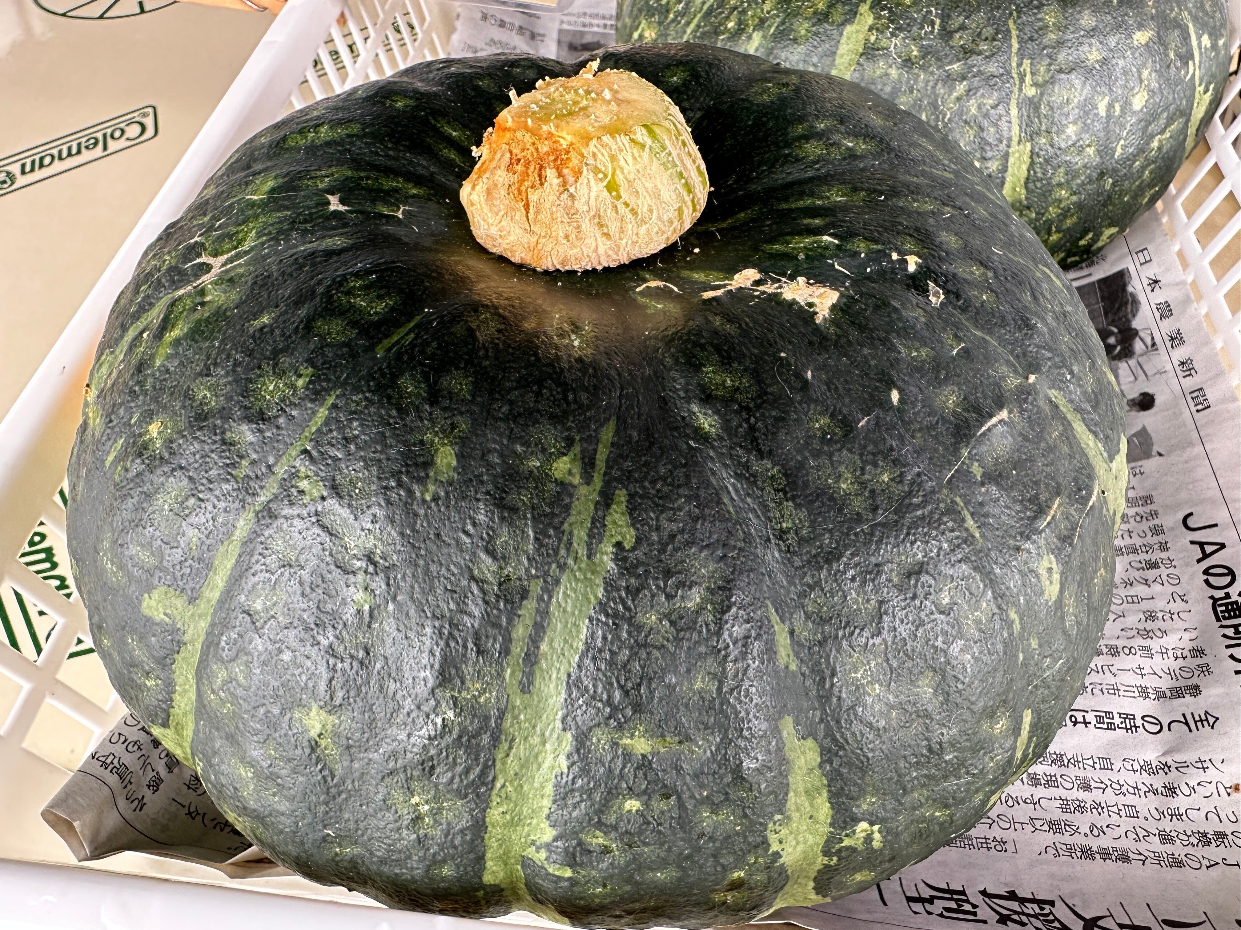 2023/7/15 お野菜み～つけた！ - かぼちゃ｜NicePapa 平野 尚志