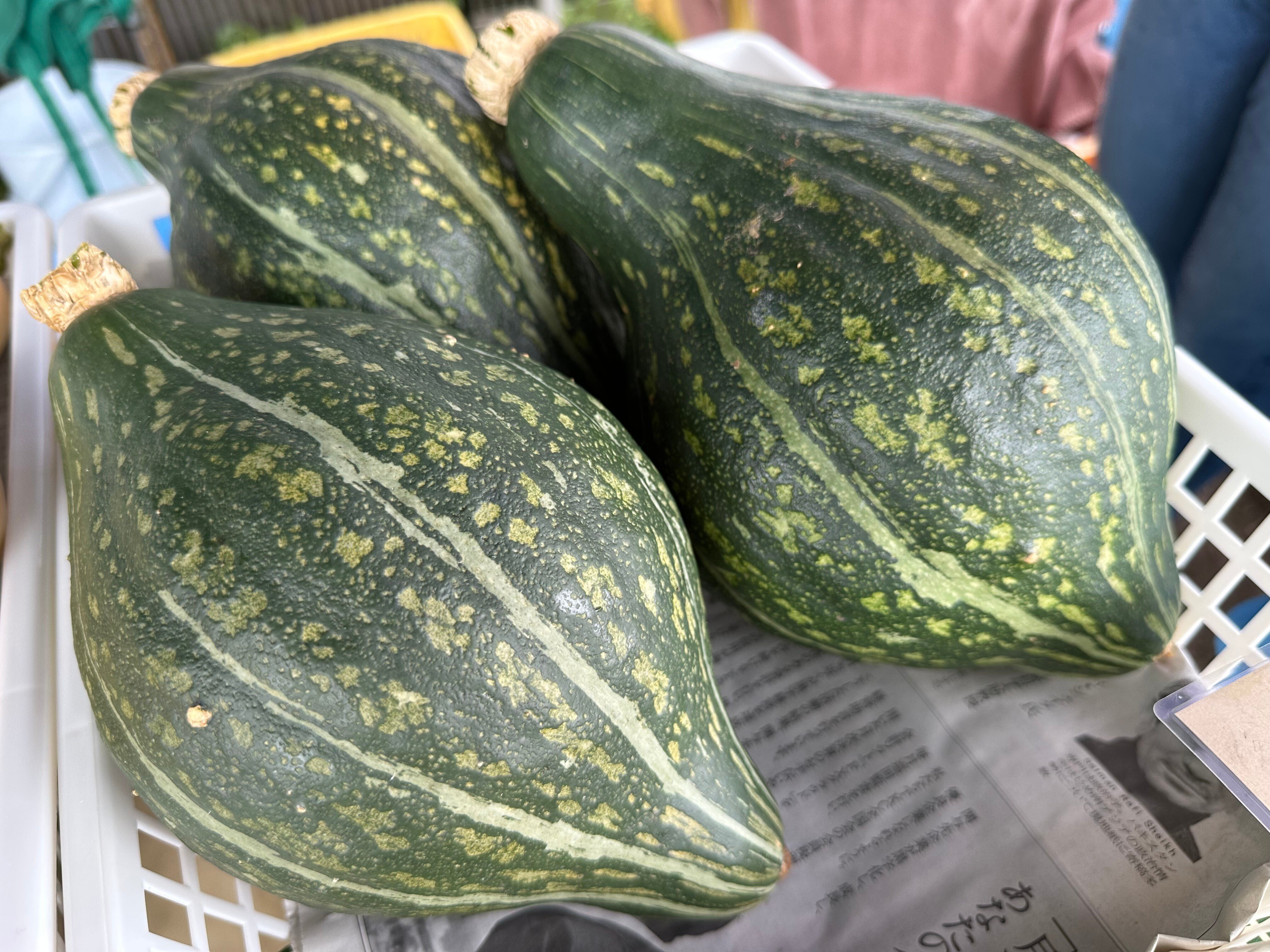 2023/7/15 お野菜み～つけた！ - かぼちゃ｜NicePapa 平野 尚志