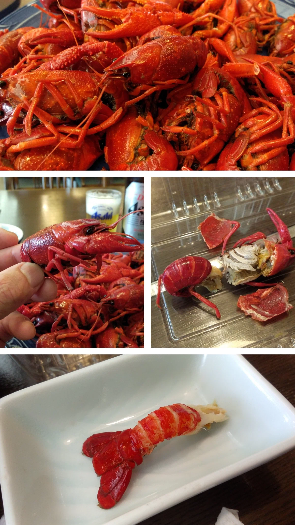 エビガニを実食し、そのルーツに迫る/Crayfish@千葉県北総地区|魚介馬鹿一代/Fish Nerd Life