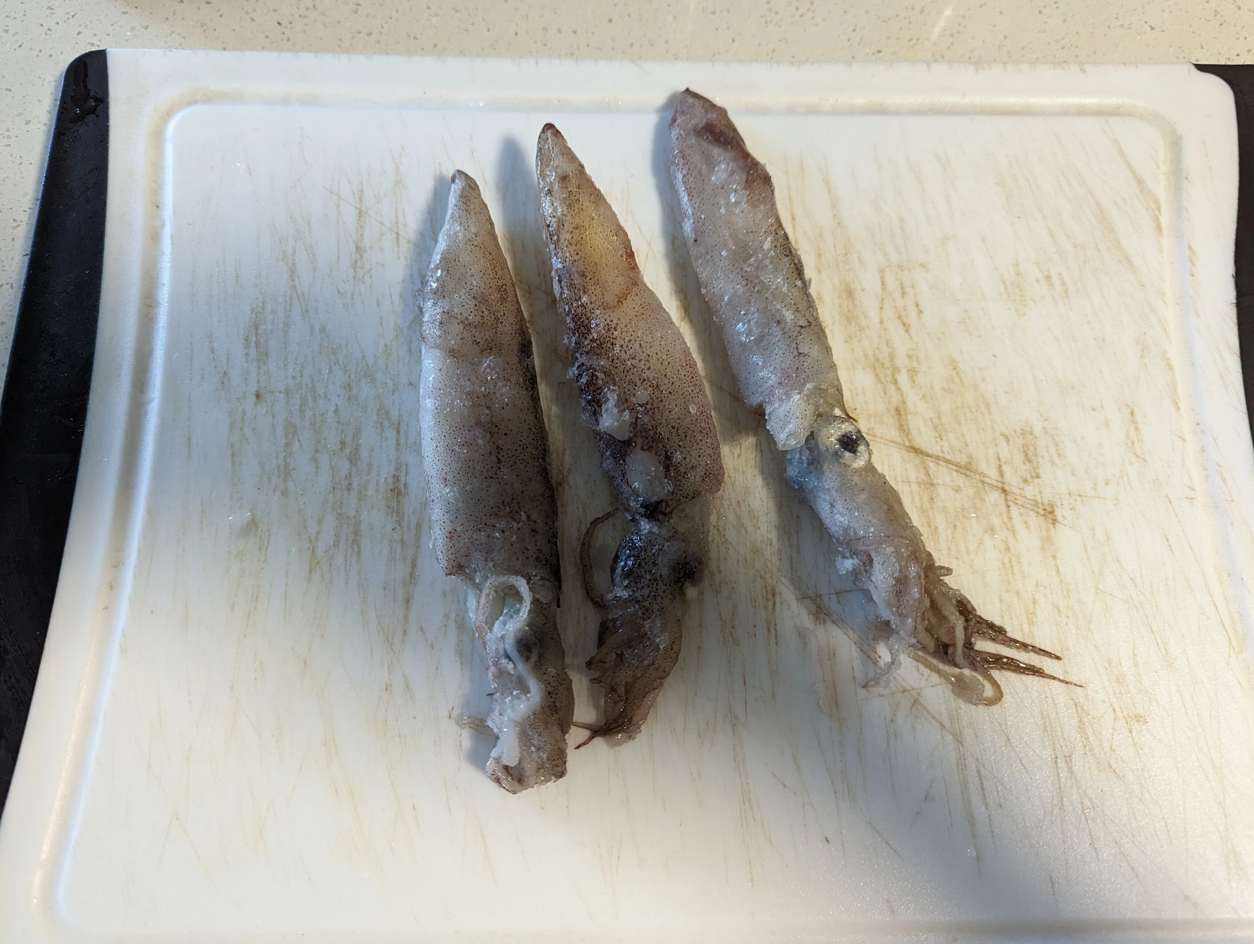 Outdoors in Seattle - Flounder Fishing Edition -｜福原たまねぎ