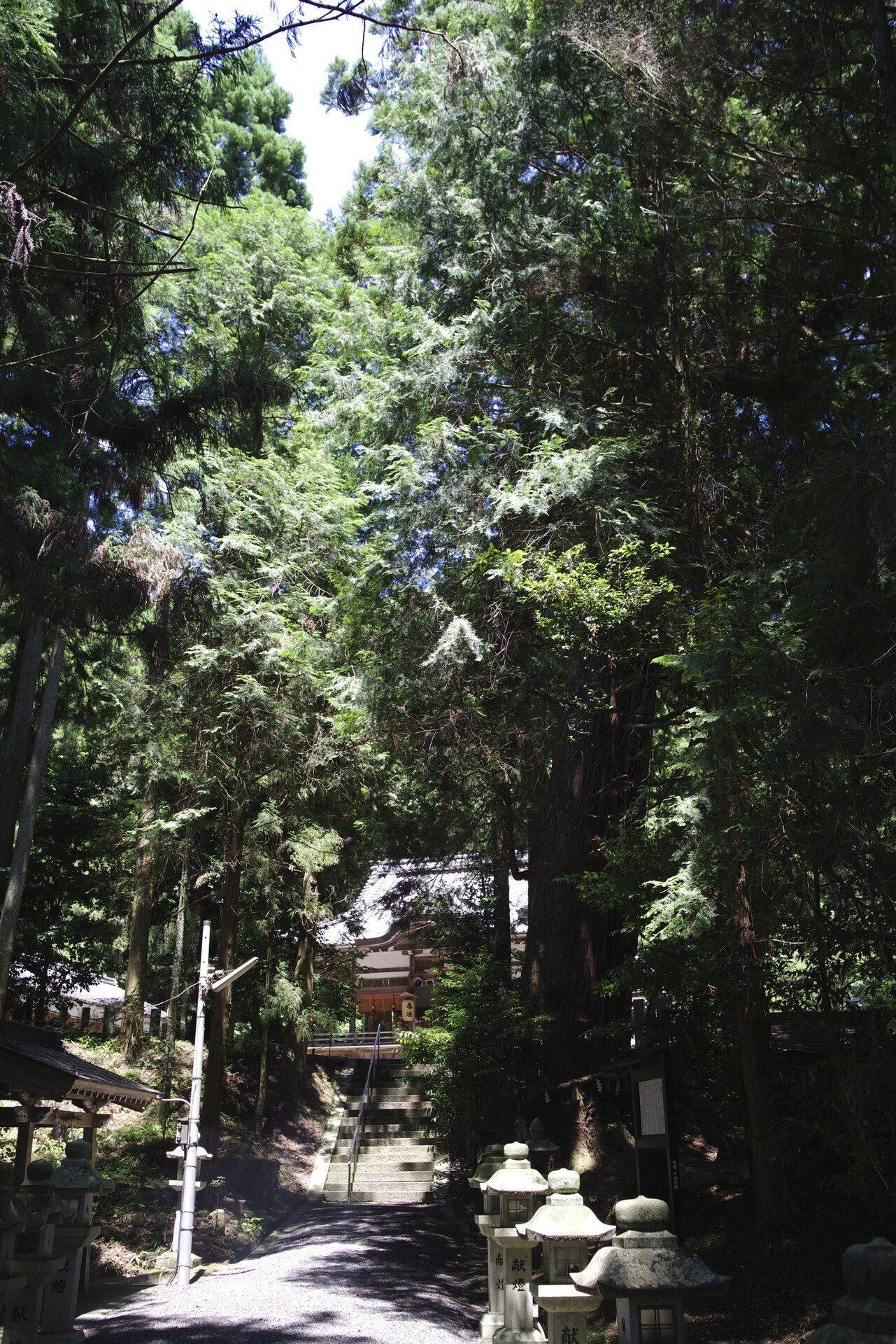 伊賀焼の里・丸柱を訪ねる (J limited 01 / smc PENTAX-FA 伊賀焼の里・丸柱を訪ねる (J limited 01 / smc PENTAX-FA