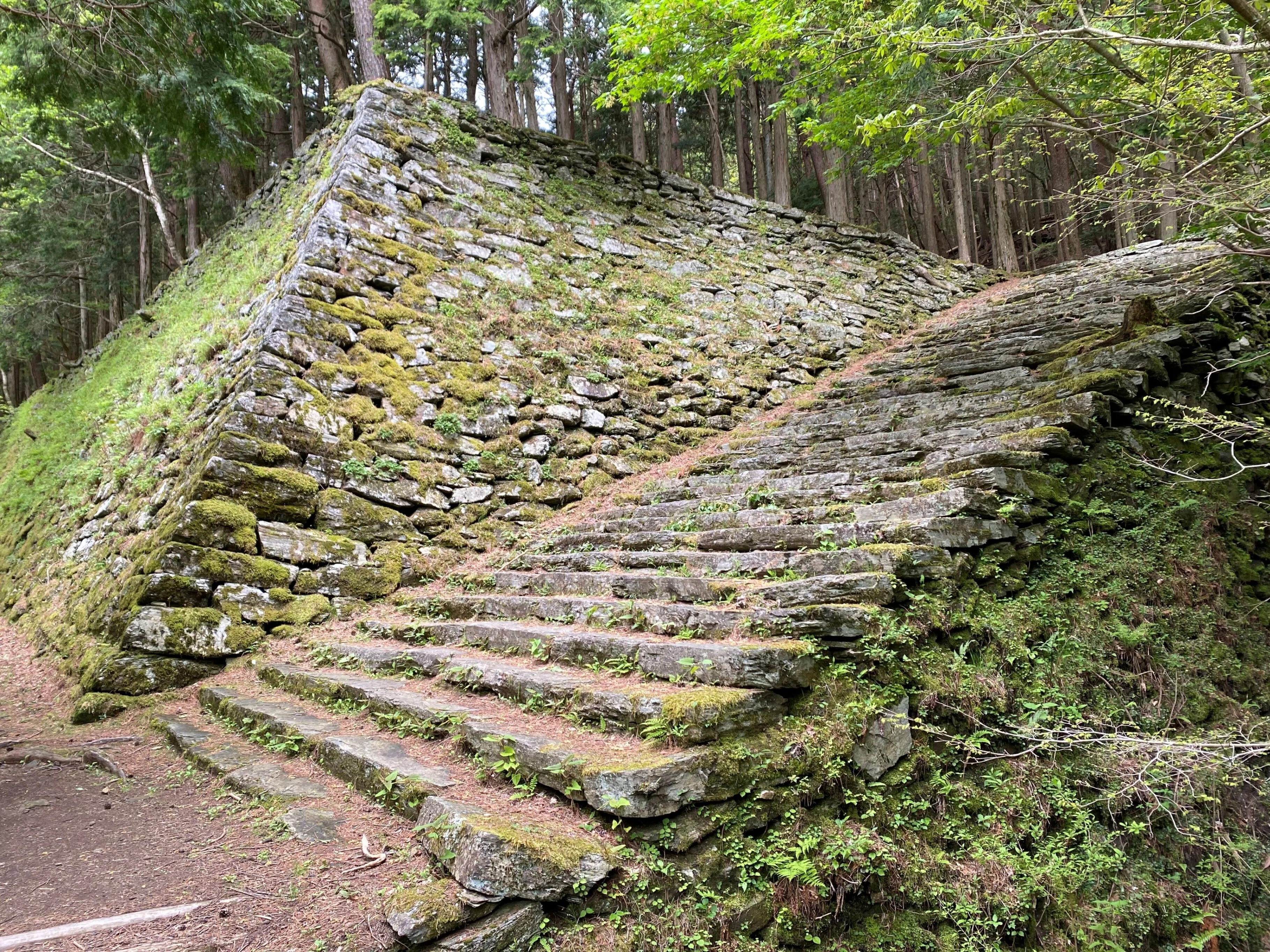 どうだ住友林業発祥の地なのだ ー旅の栞 別子銅山ハイキング編ー｜なぐ