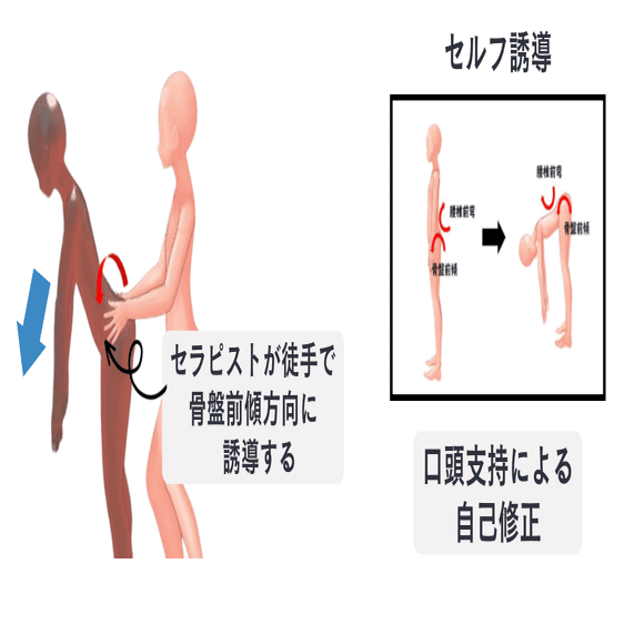図説腰椎の臨床 脊椎の構造と異常」医学ポスター ポスターB3サイズ 人体解剖学図