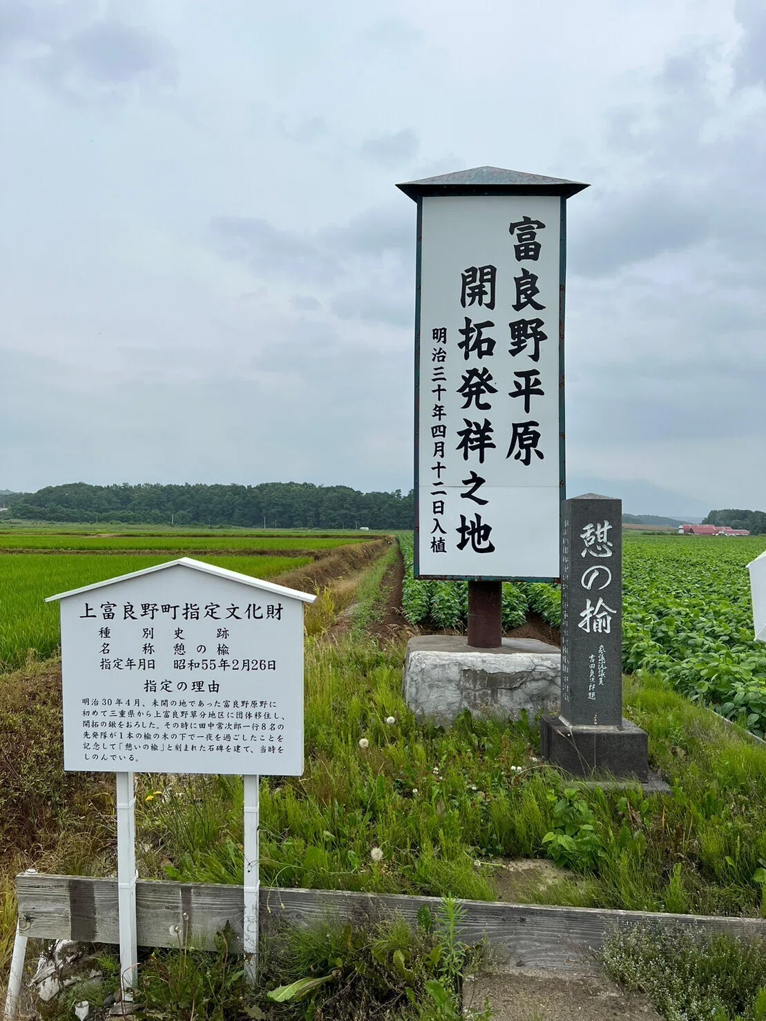 泥流地帯、その足跡 ～実録レポート～｜スイ