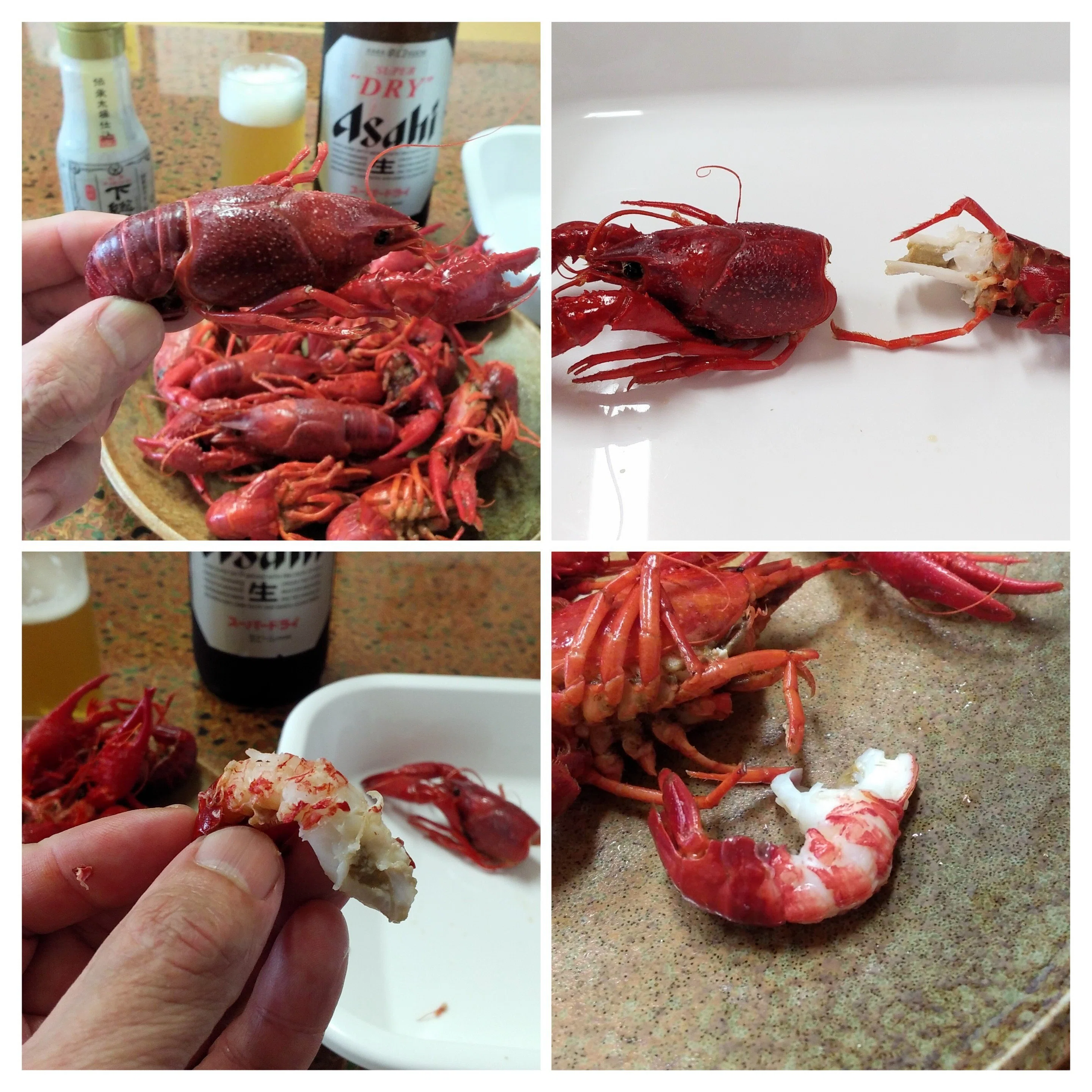 エビガニを実食し、そのルーツに迫る/Crayfish@千葉県北総地区｜魚介