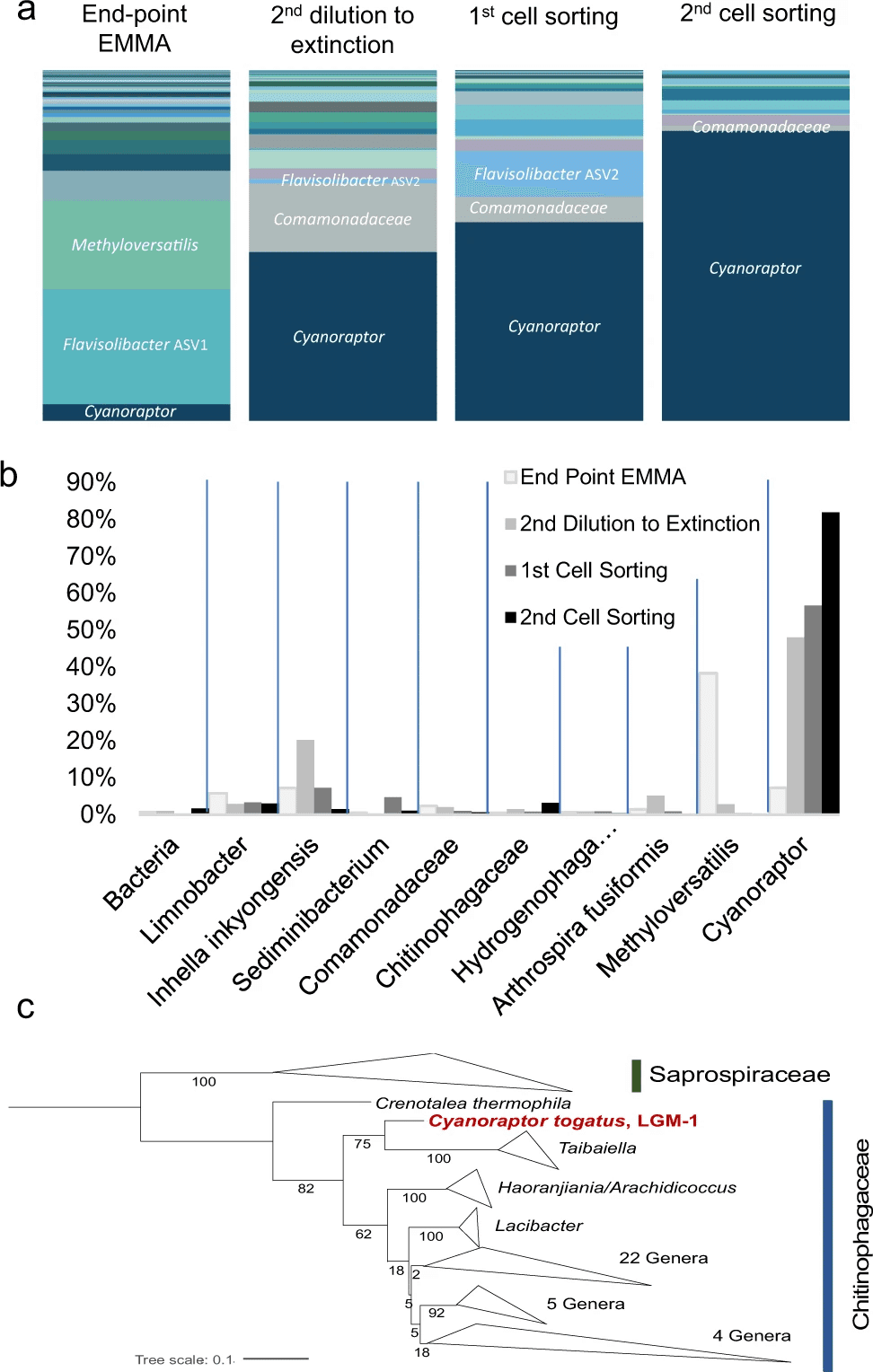 遺伝子組み換え作物 - Wikipedia, image size:972x1528