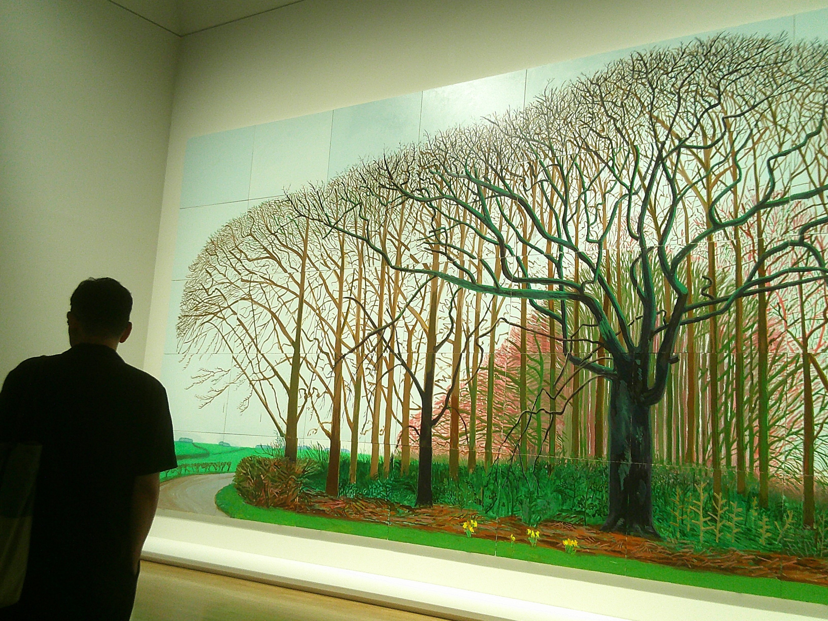 David Hockney　デイヴィッド・ホックニー 楽天市場】【100円クーポン配布中】HOCKNEY'S PICTURES by David