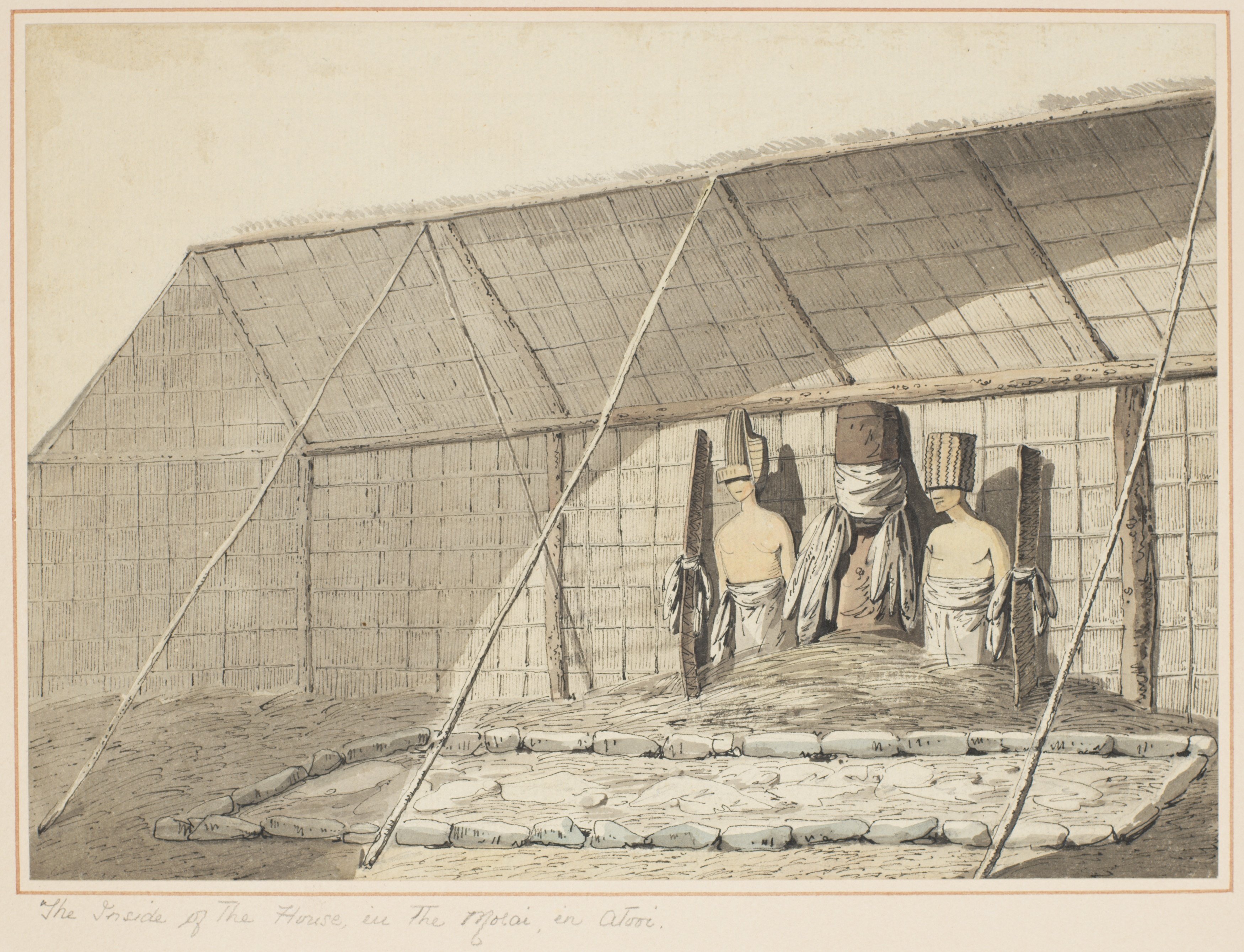 クック船長とハワイ①1778年1月カウアイ島、2月ニイハウ島｜Susie