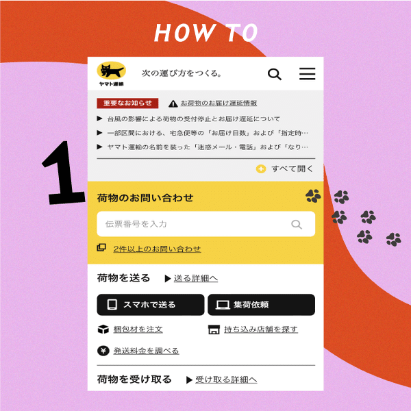 Tillandsia Deborah Ann 着払い宅急便発送 ニャンフェス 猫好きのための雑貨イベント | ブログ