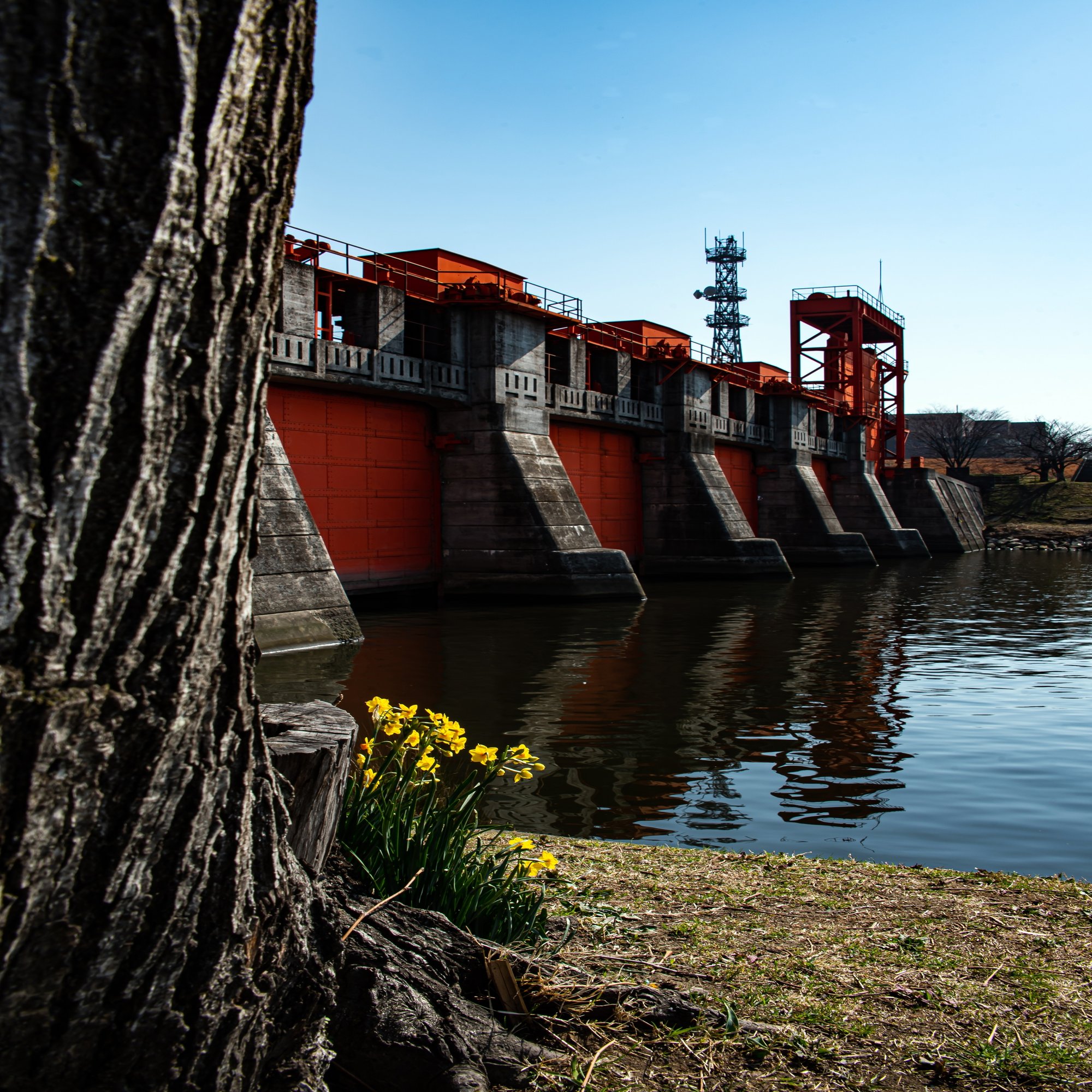 下町を守る赤と青の水門～東京都北区・岩淵水門」｜観光情報総合研究所 夢雨