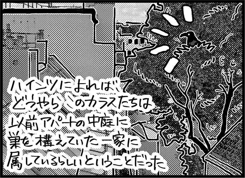 アパートの中庭のイラスト。大きな木にカラスが１羽止まっている。「ハインツによれば、どうやらこのカラスたちは以前アパートの中庭に巣を構えていた一家に属しているらしいということだった」