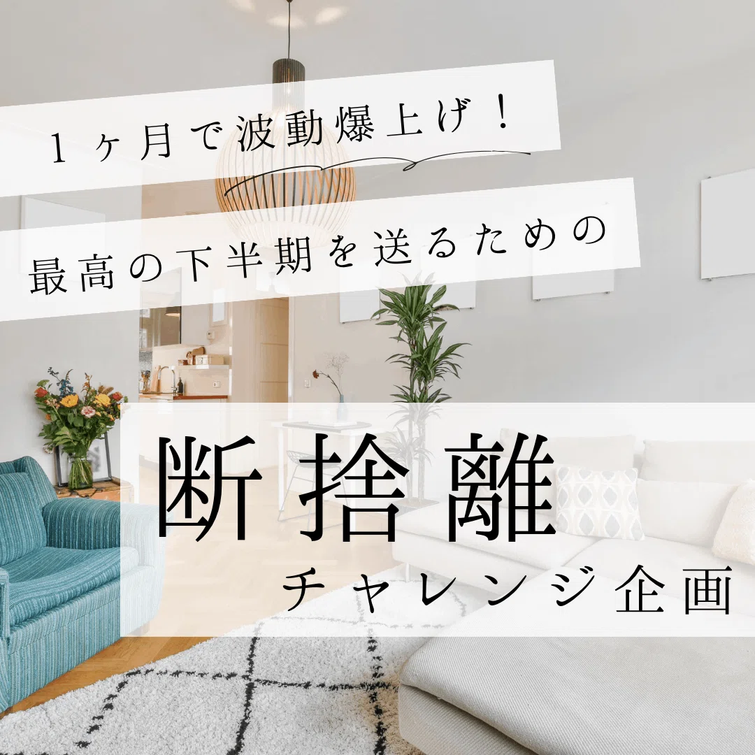 断捨離中♪( ´θ｀)ノ様専用 断捨離中のため