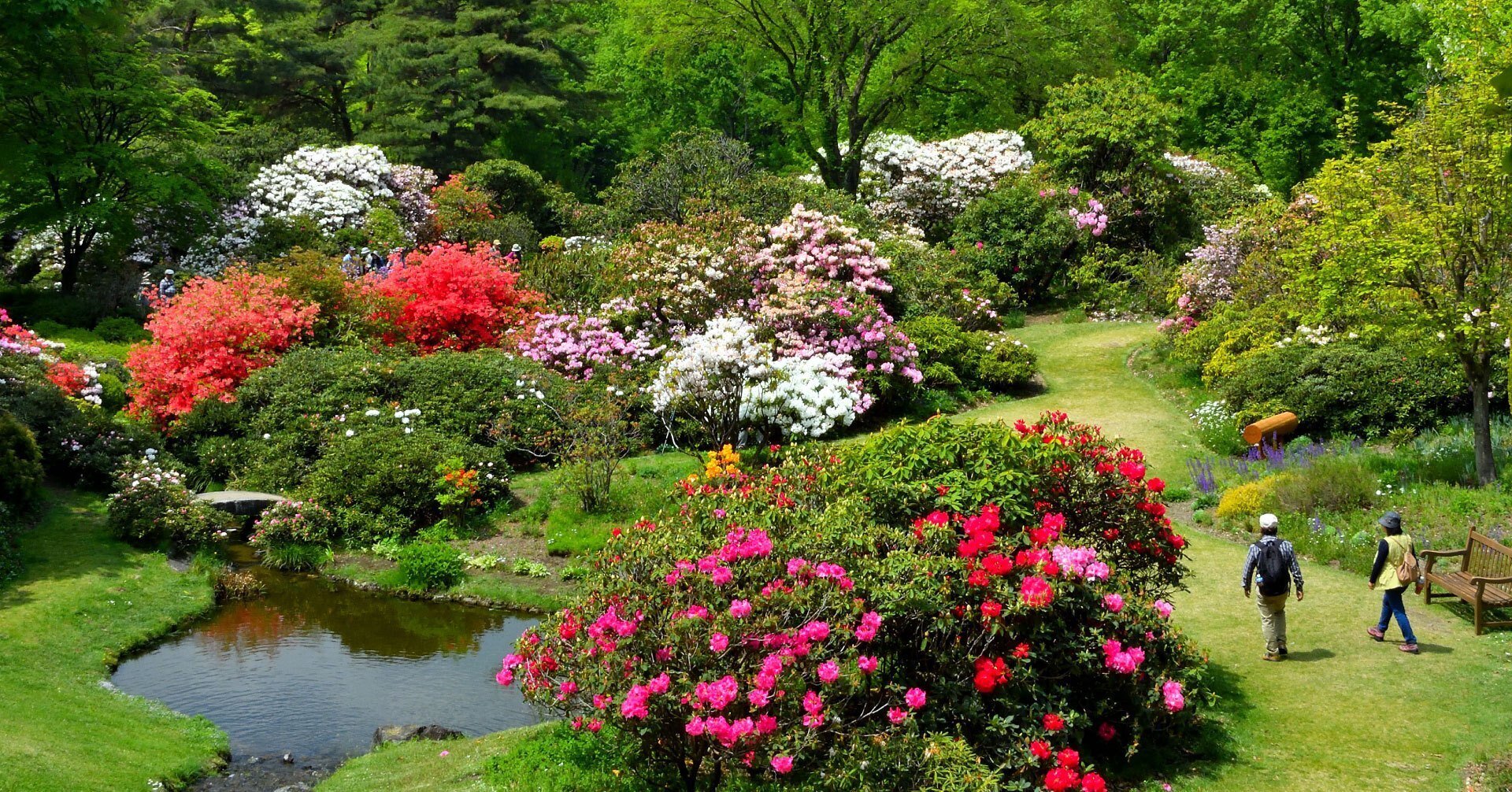 赤城の森の豊かさに触れる ～自然と人が共生する世界～｜SAISON NEWS