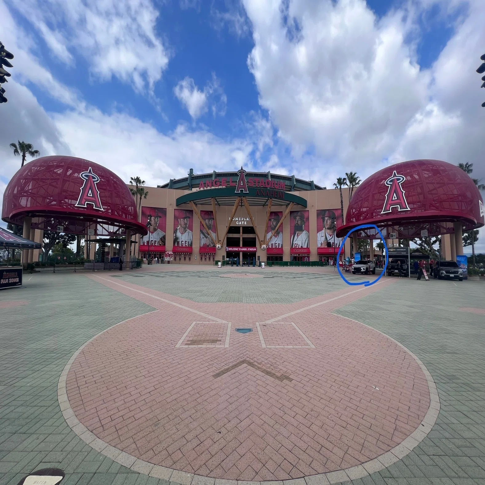 MLBを観に行こう！(座席編)｜おはぎ。